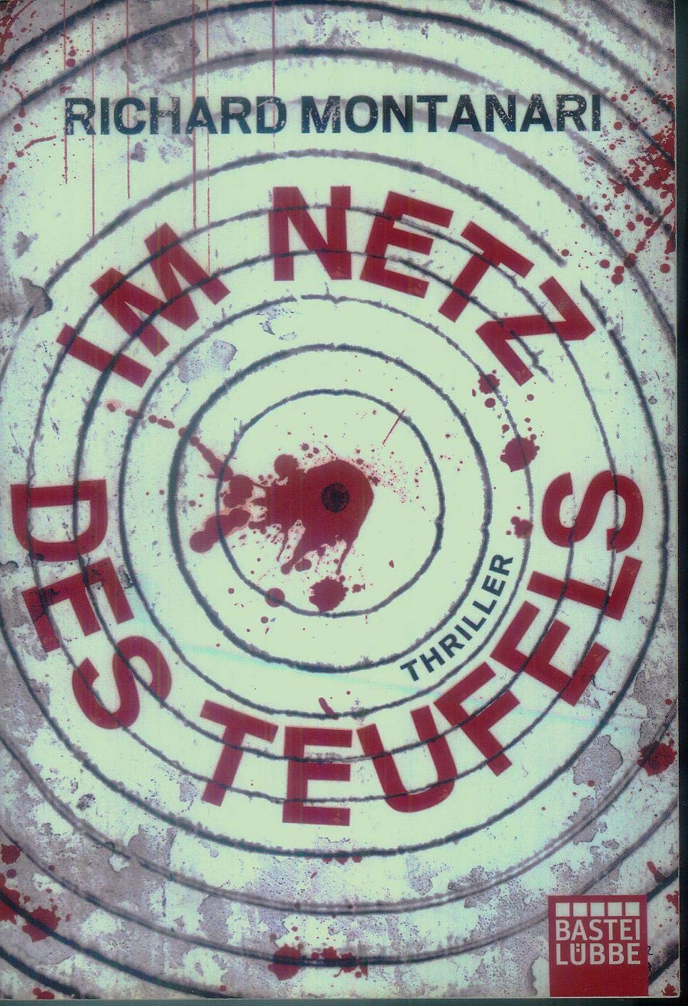 Im Netz des Teufels: Thriller (Allgemeine Reihe. Bastei Lübbe Taschenbücher) Action & Adventure