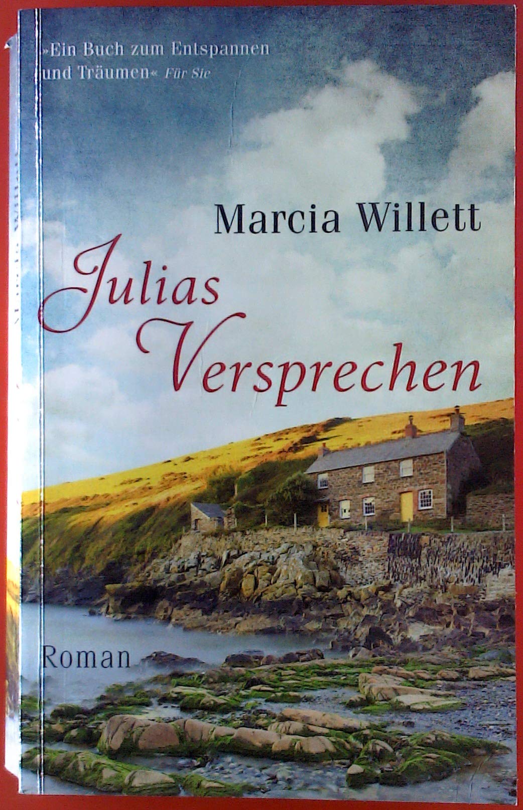 Julias Versprechen: Roman (Allgemeine Reihe. Bastei Lübbe Taschenbücher) Contemporary literature