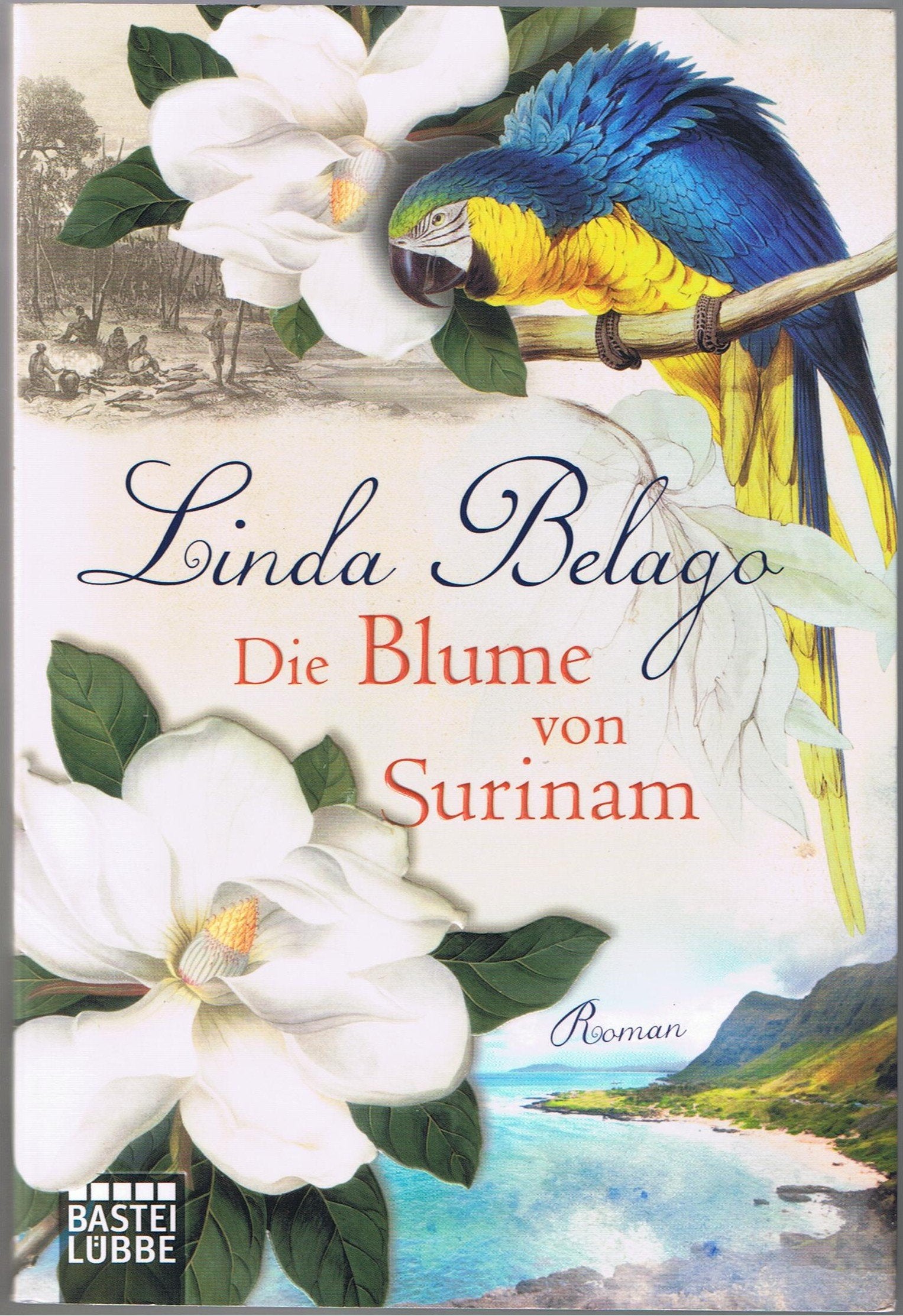 Die Blume von Surinam: Roman (Die Surinam-Saga - Ein Landschaftsroman) (Allgemeine Reihe. Bastei Lübbe Taschenbücher) Contemporary literature Books