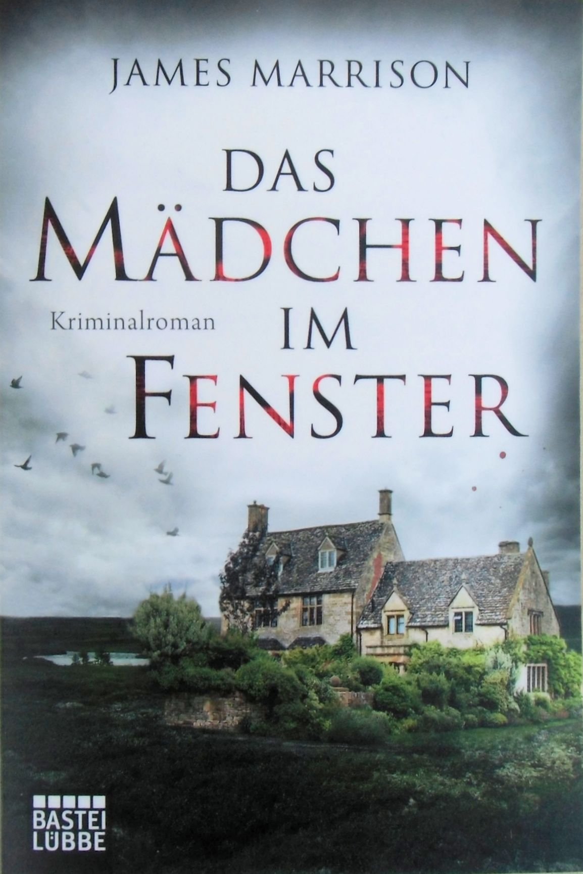 Product Image: Das Mädchen im Fenster