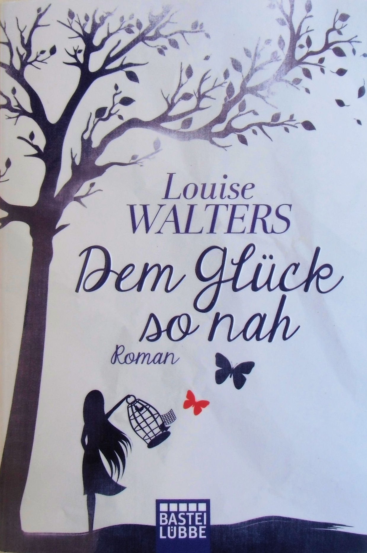 Dem Glück so nah Contemporary literature Books