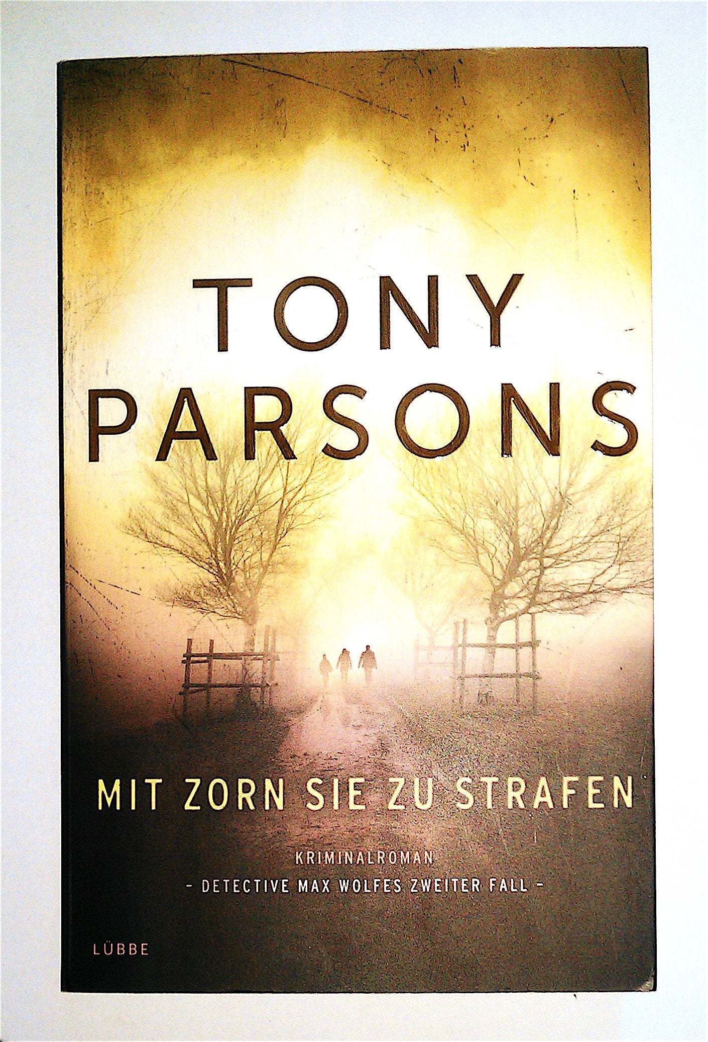 Mit Zorn sie zu strafen Contemporary literature