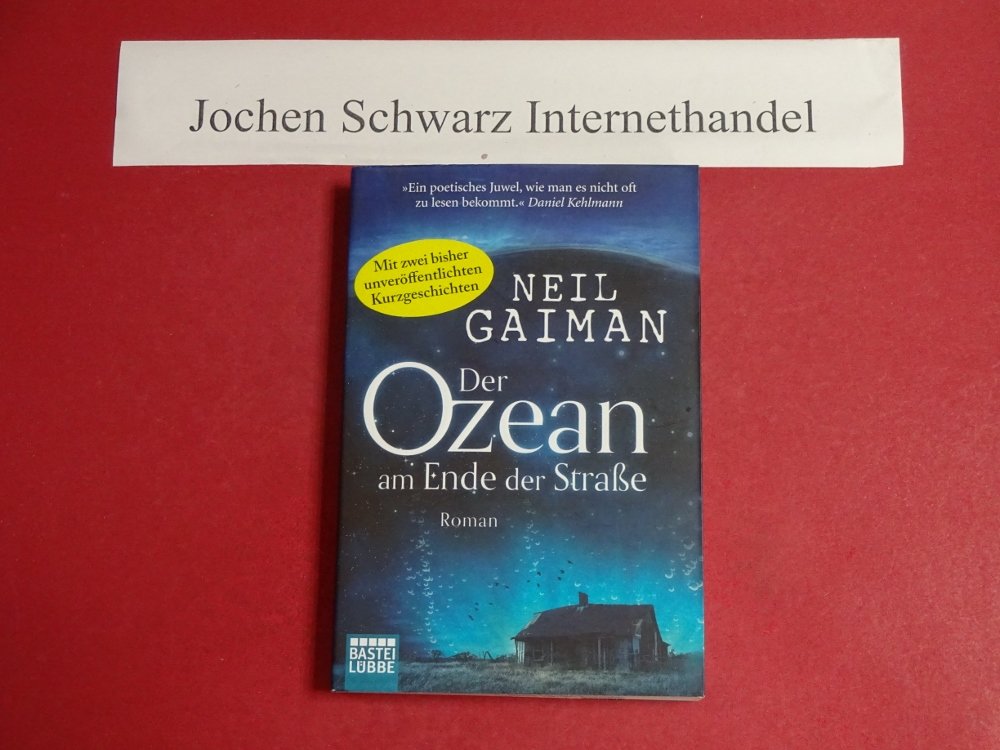 Der Ozean am Ende der Straße Contemporary literature