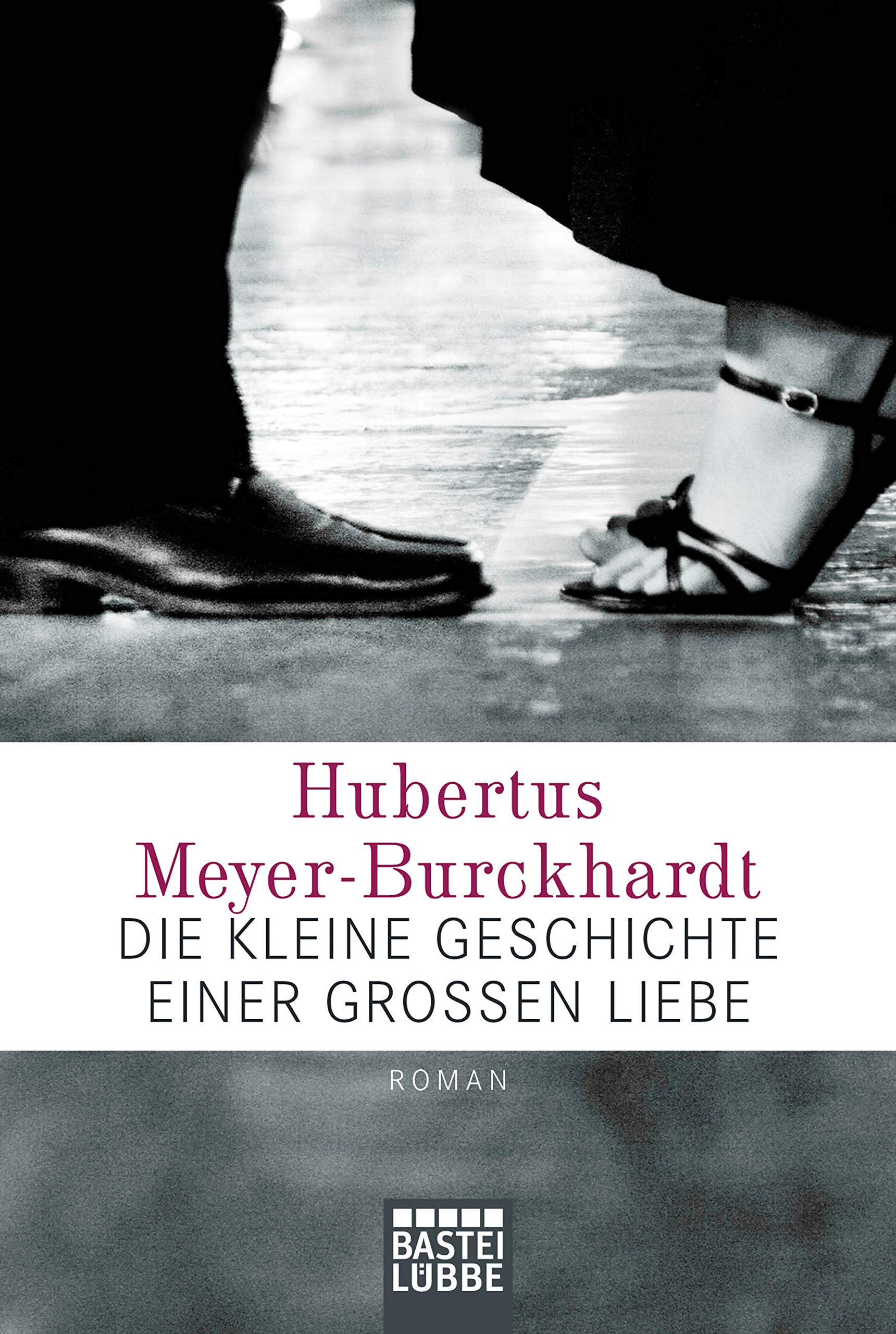 Die kleine Geschichte einer großen Liebe Contemporary literature