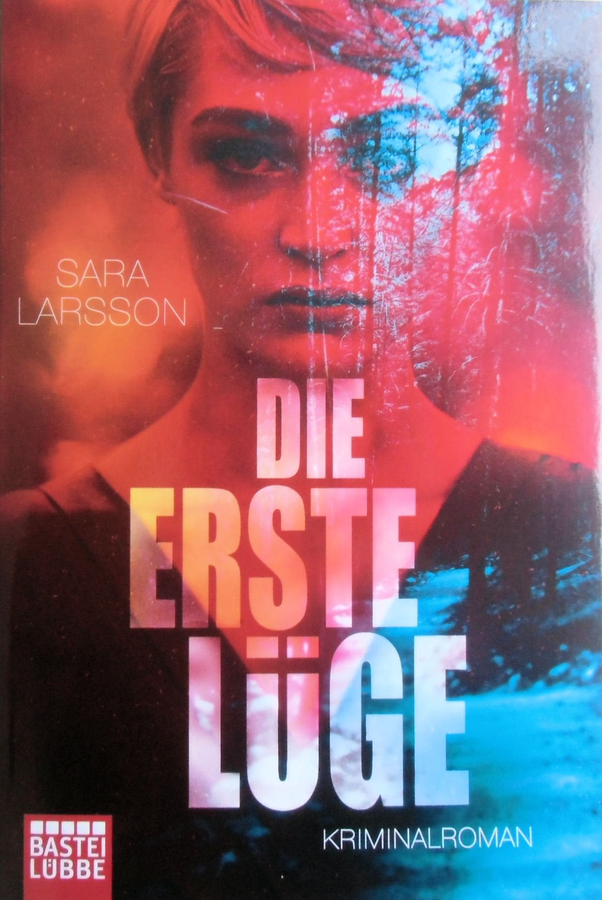 Die erste Lüge Contemporary literature Books
