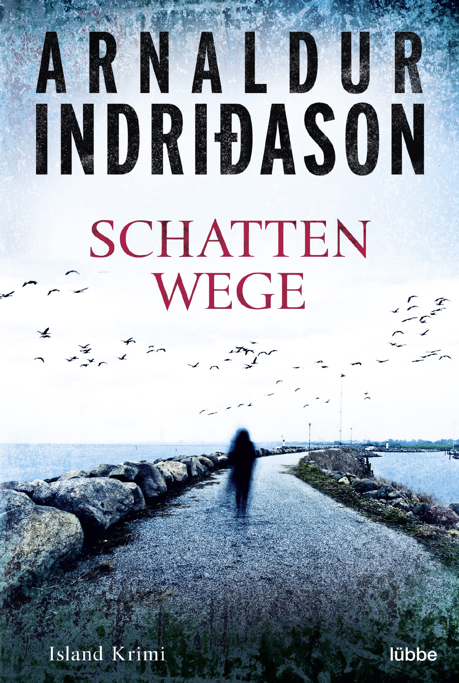 Schattenwege Contemporary literature Books