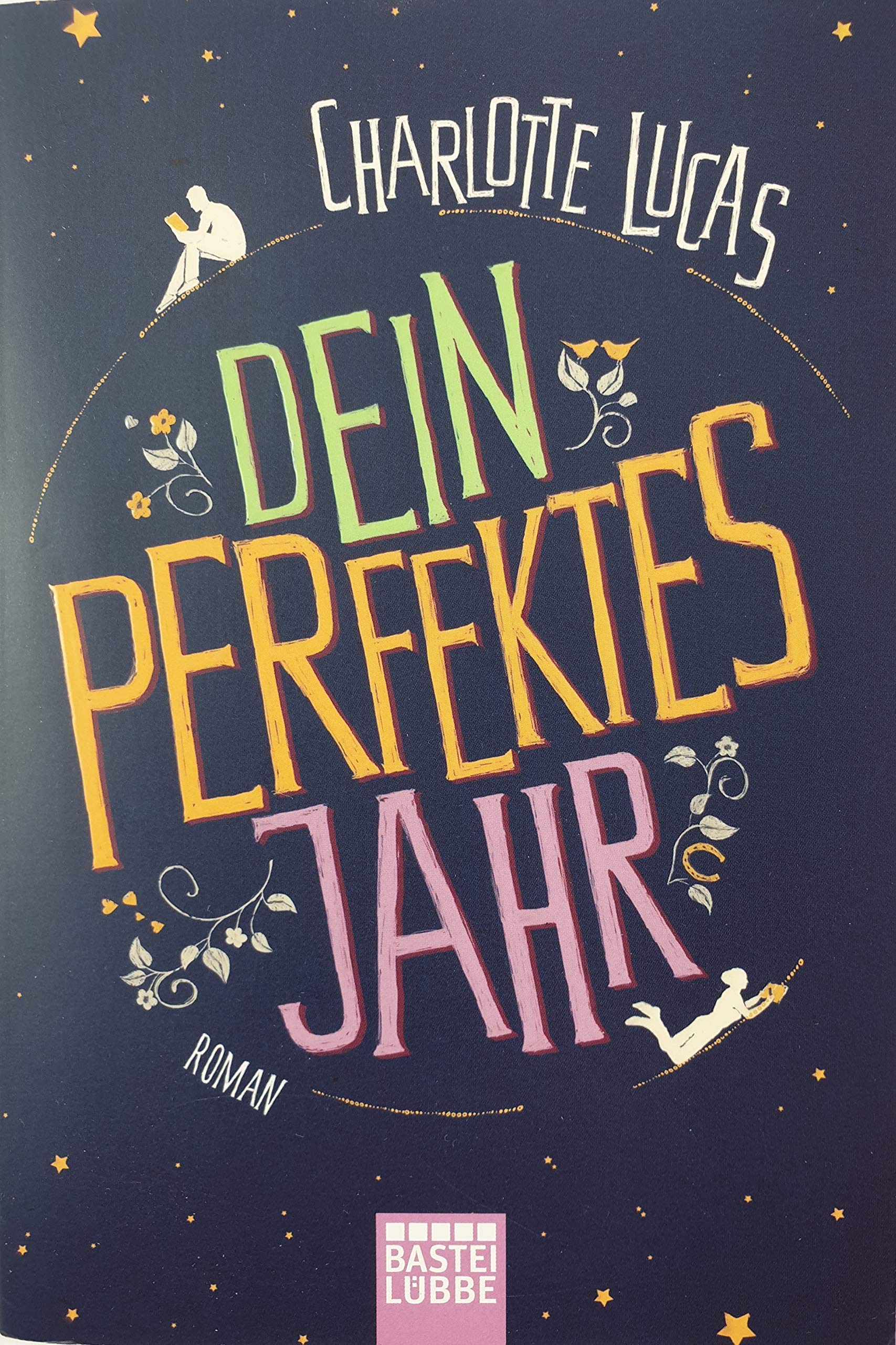 Dein perfektes Jahr: Roman Contemporary literature