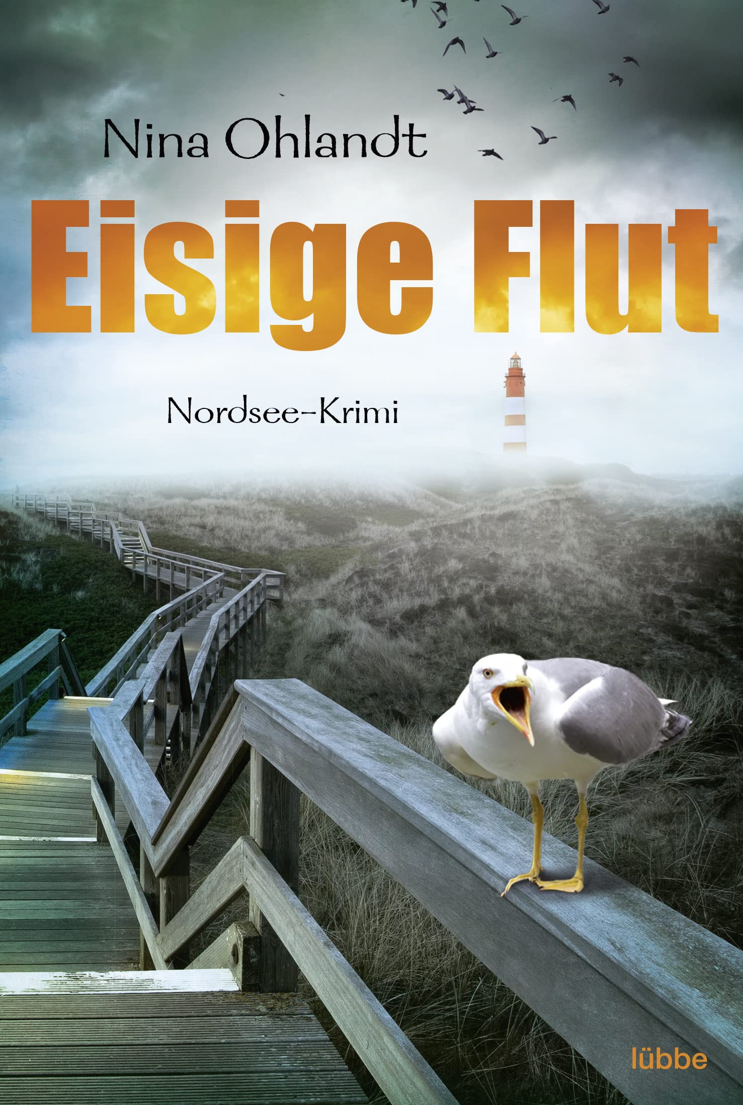 Eisige Flut Contemporary literature Books