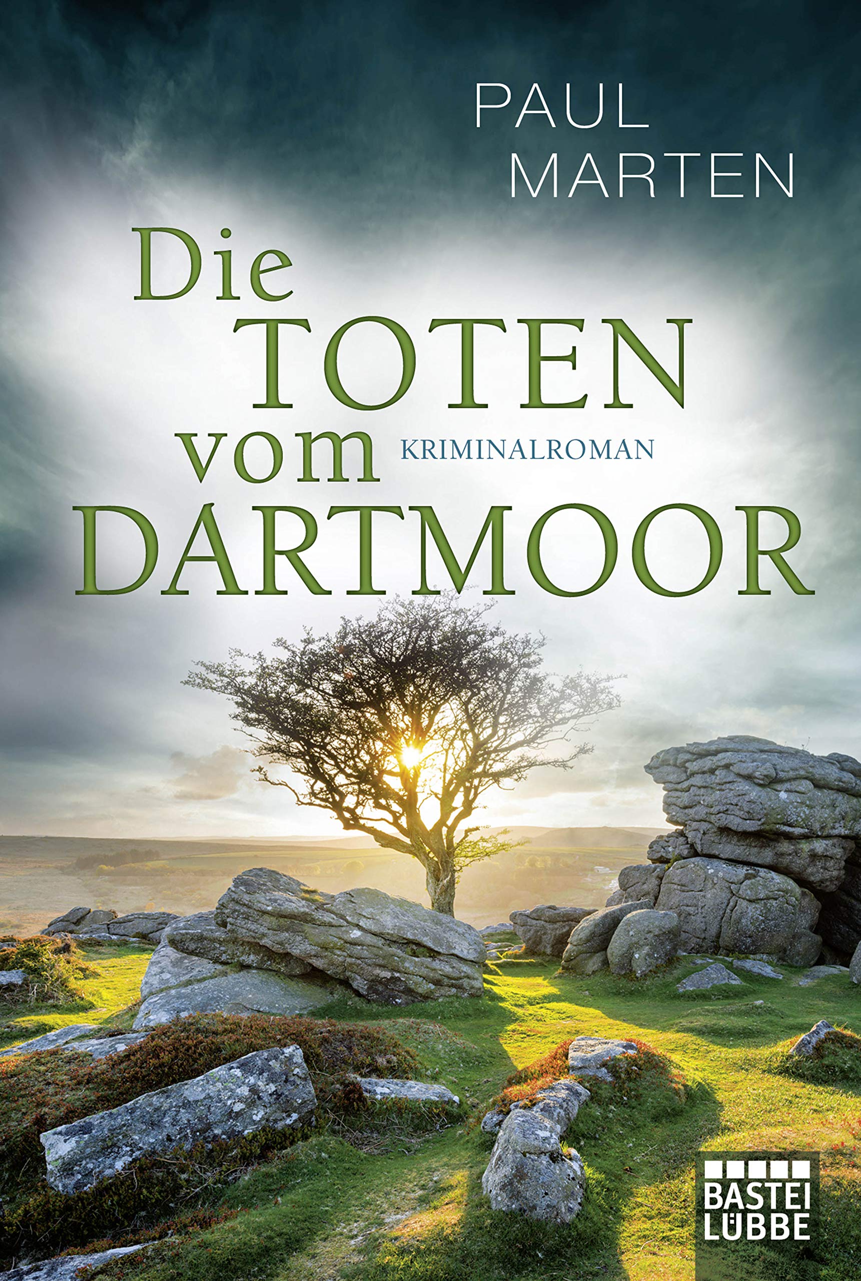 Die Toten vom Dartmoor Contemporary literature