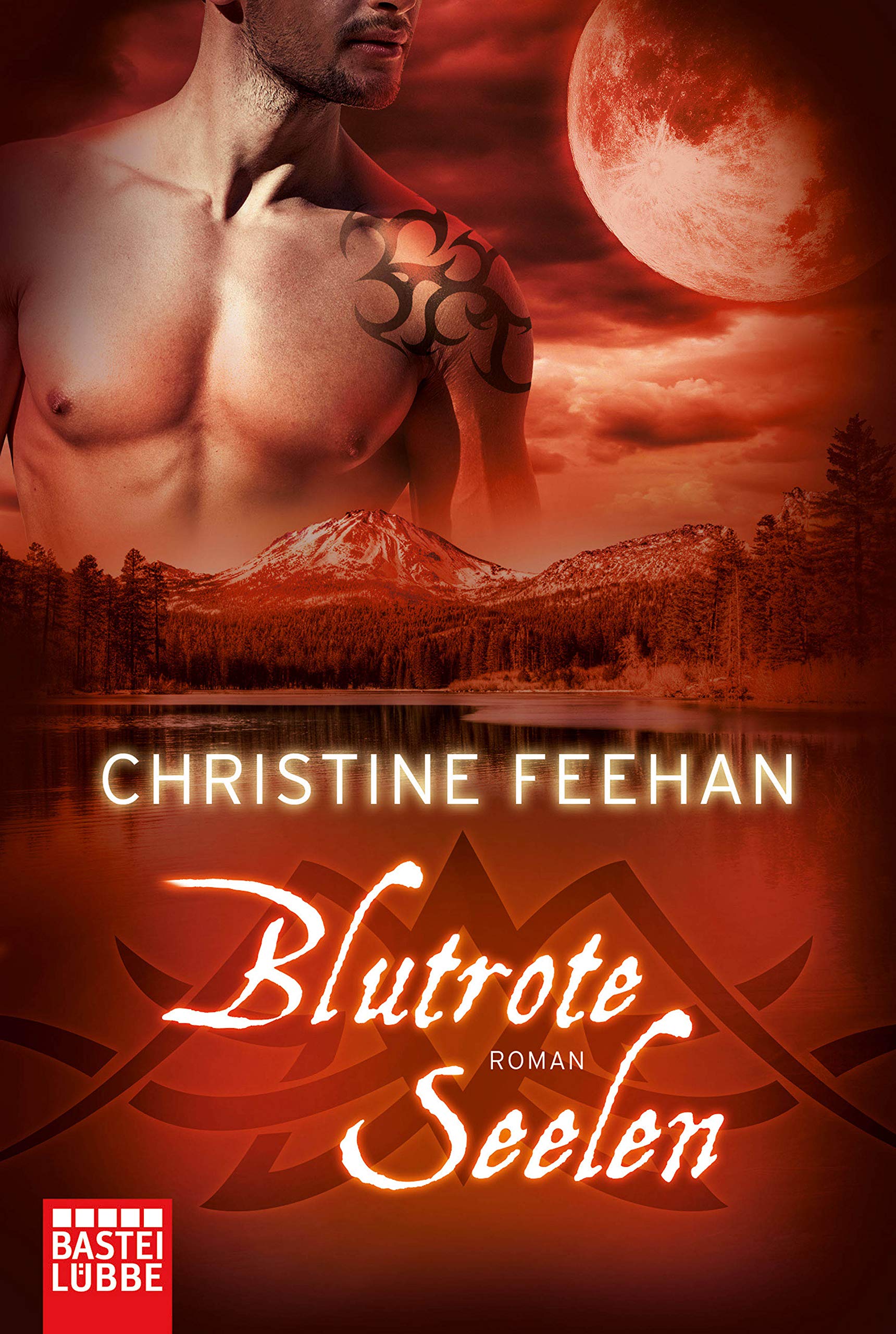 Blutrote Seelen Contemporary literature Books