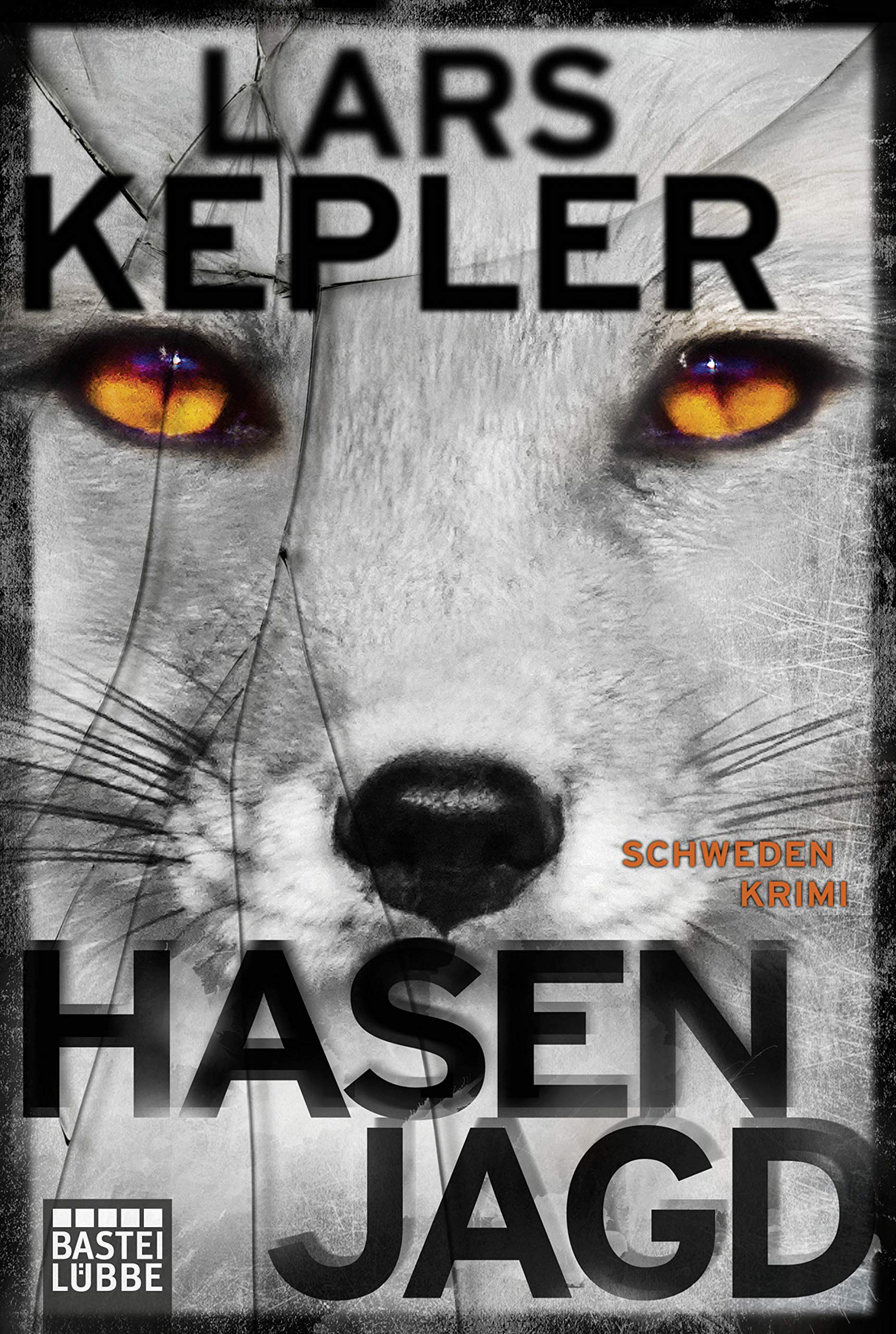 Hasenjagd Contemporary literature Books