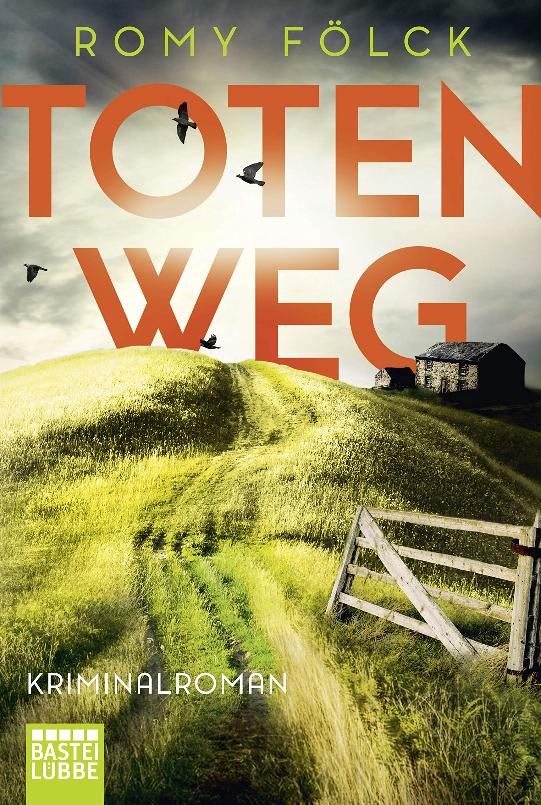 Totenweg Contemporary literature Books