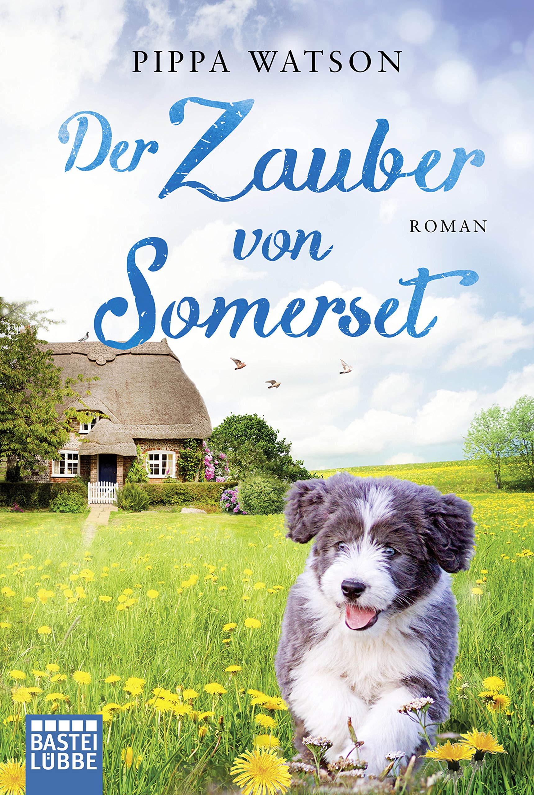 Product Image: Der Zauber von Somerset