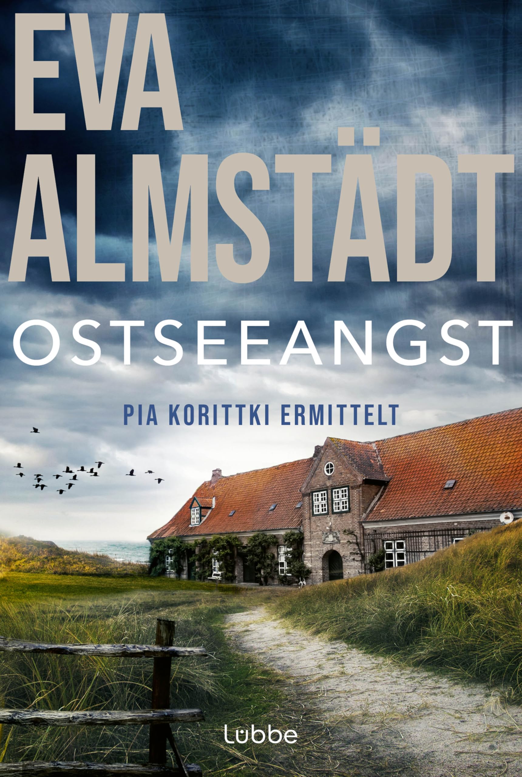 Ostseeangst Contemporary literature Books