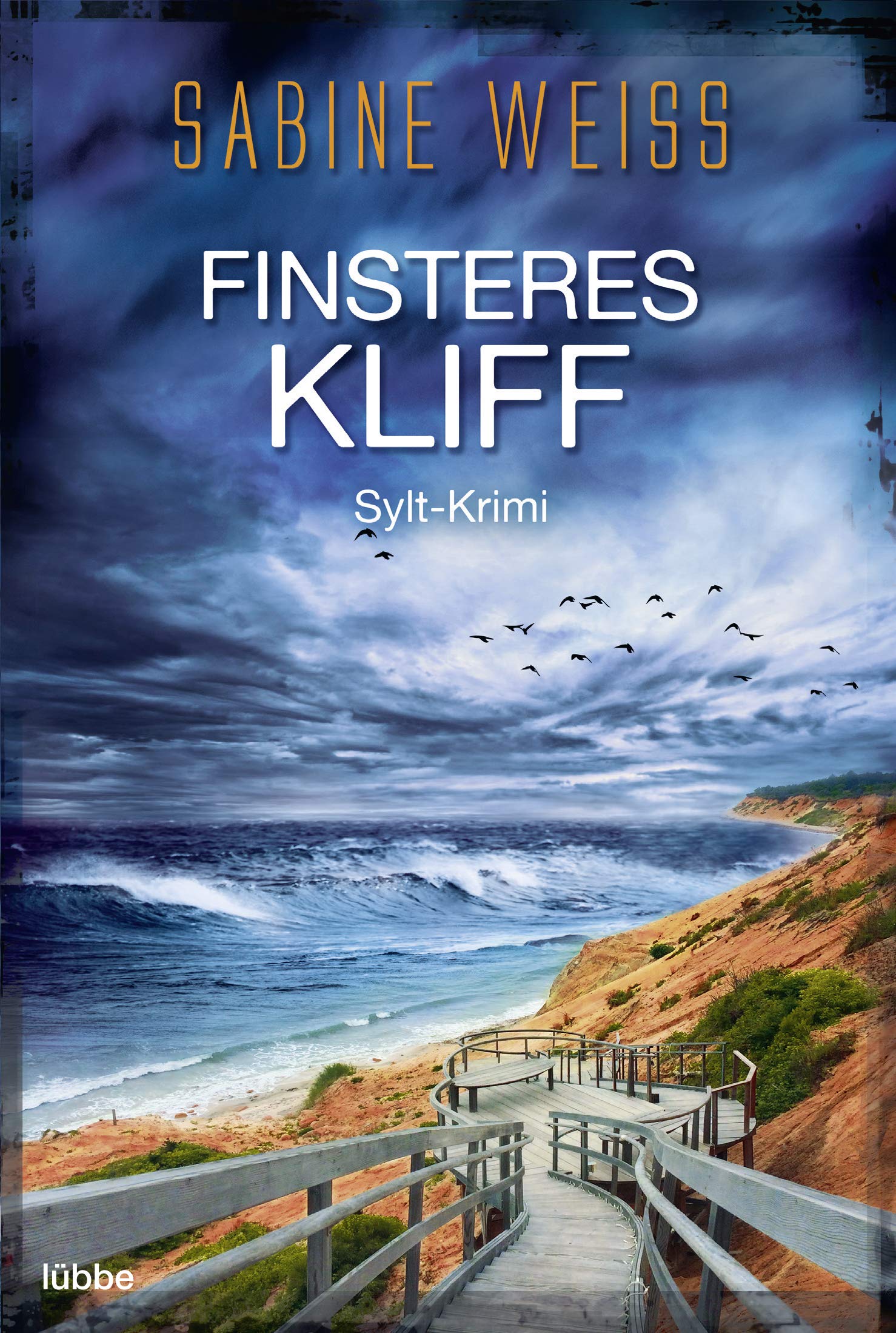 Finsteres Kliff Contemporary literature Books