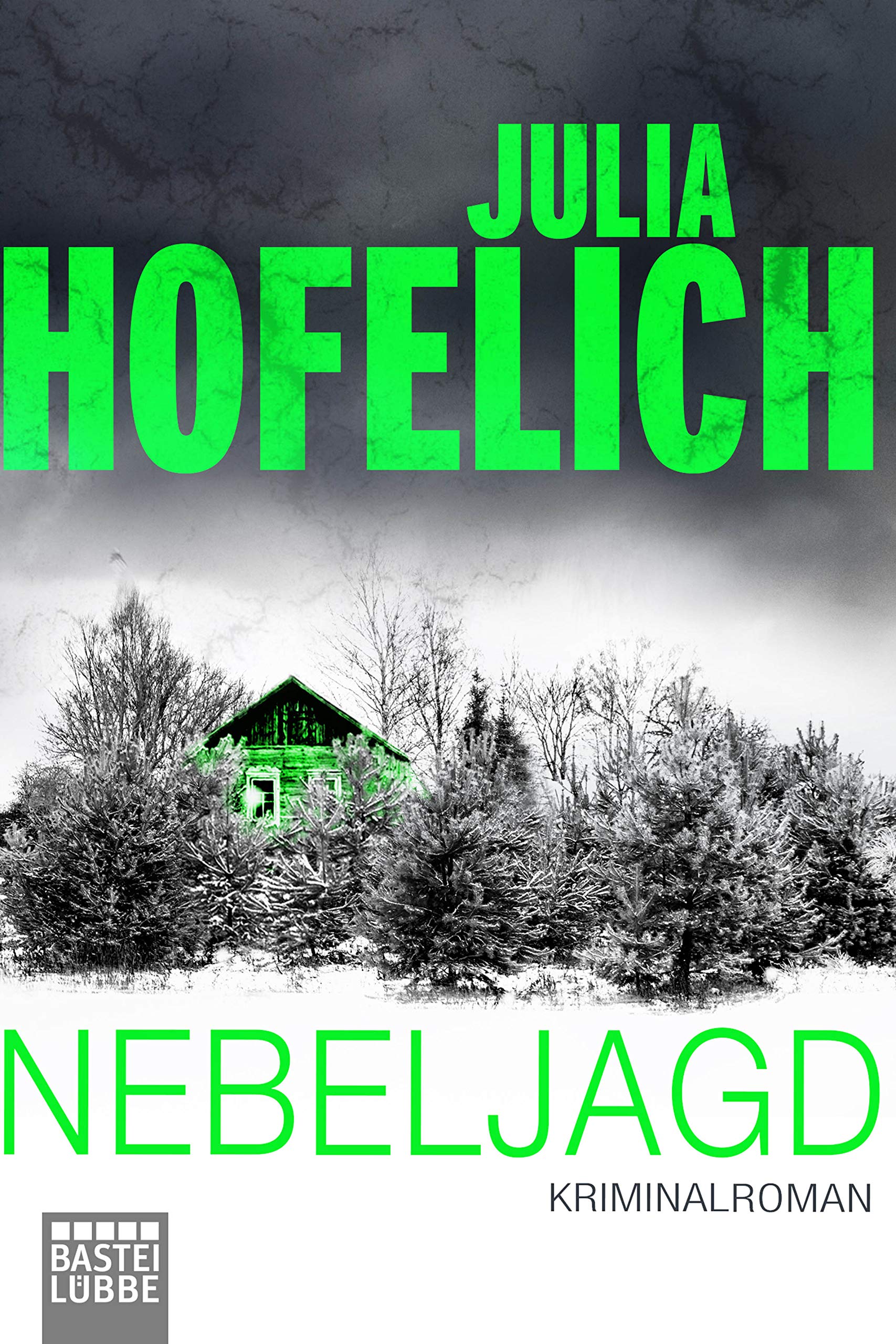 Nebeljagd Contemporary literature Books