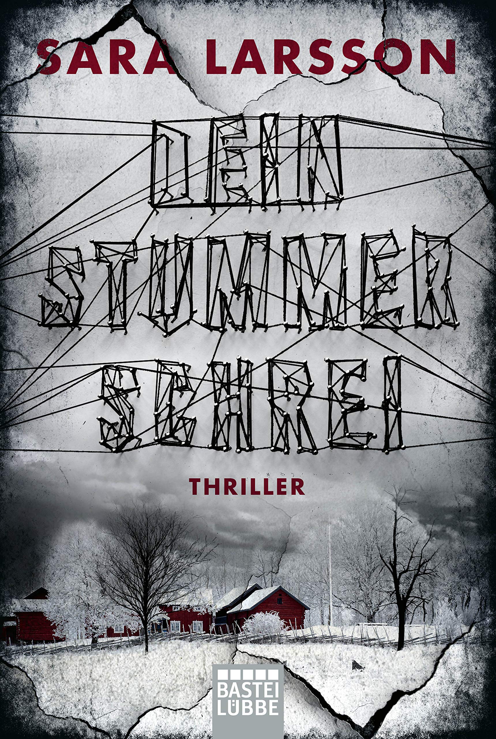 Dein stummer Schrei Contemporary literature Books