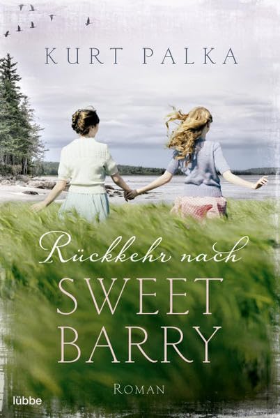 Rückkehr nach Sweetbarry: Roman Contemporary literature