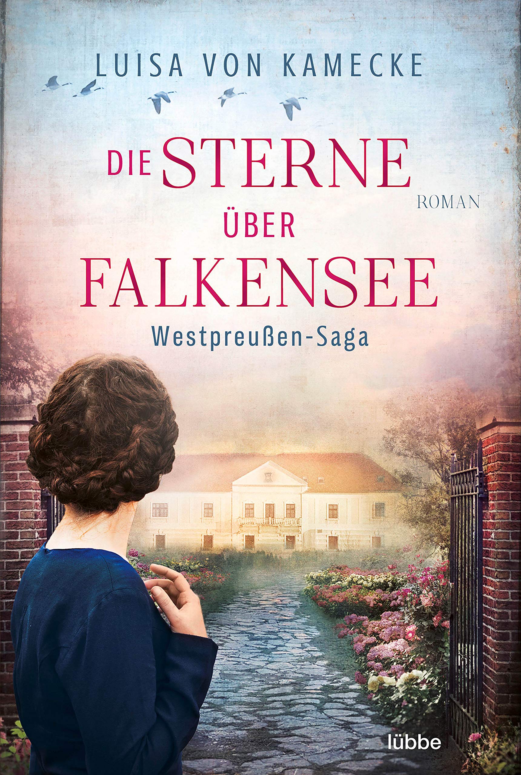 Die Sterne über Falkensee Contemporary literature