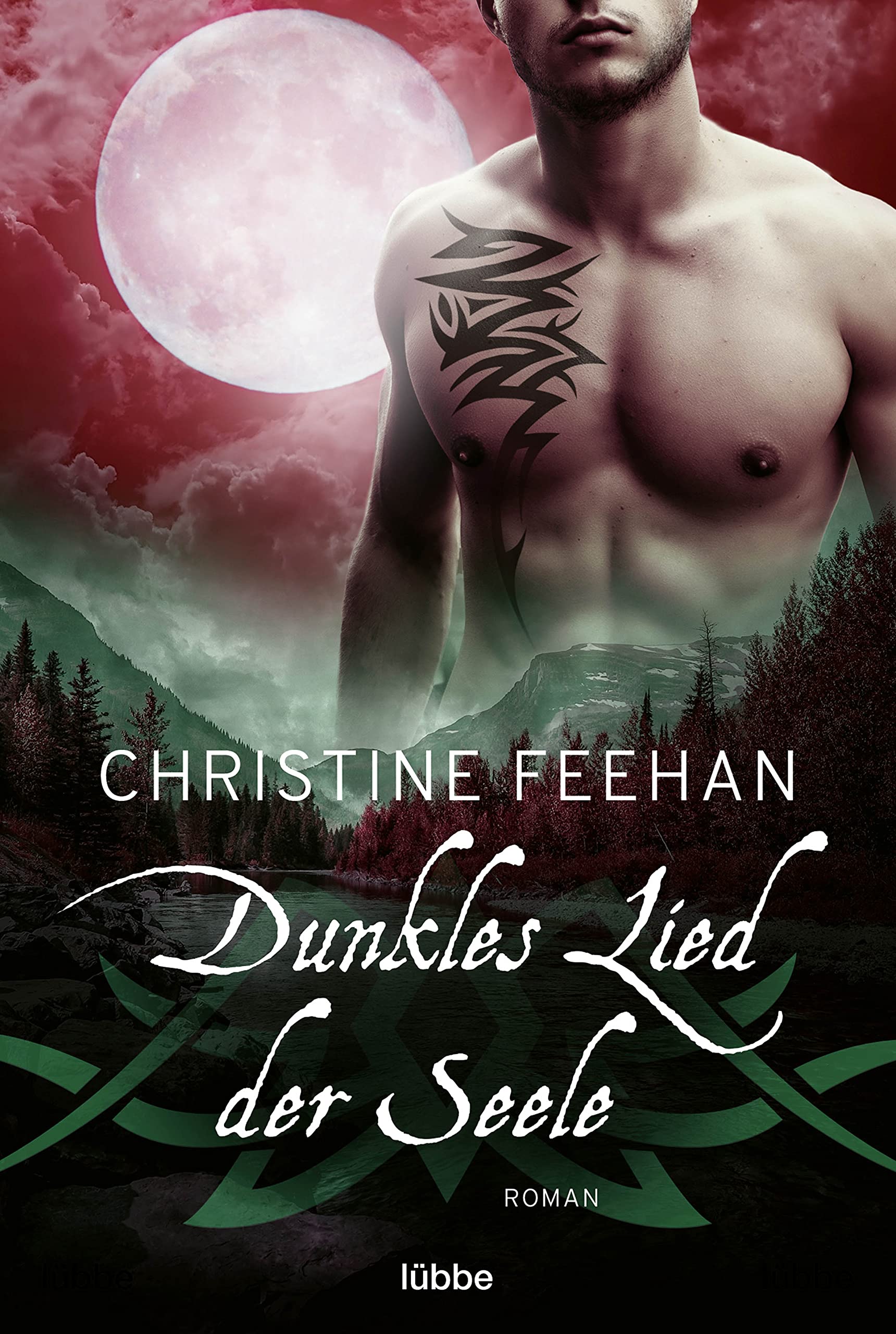 Dunkles Lied der Seele Contemporary literature Books