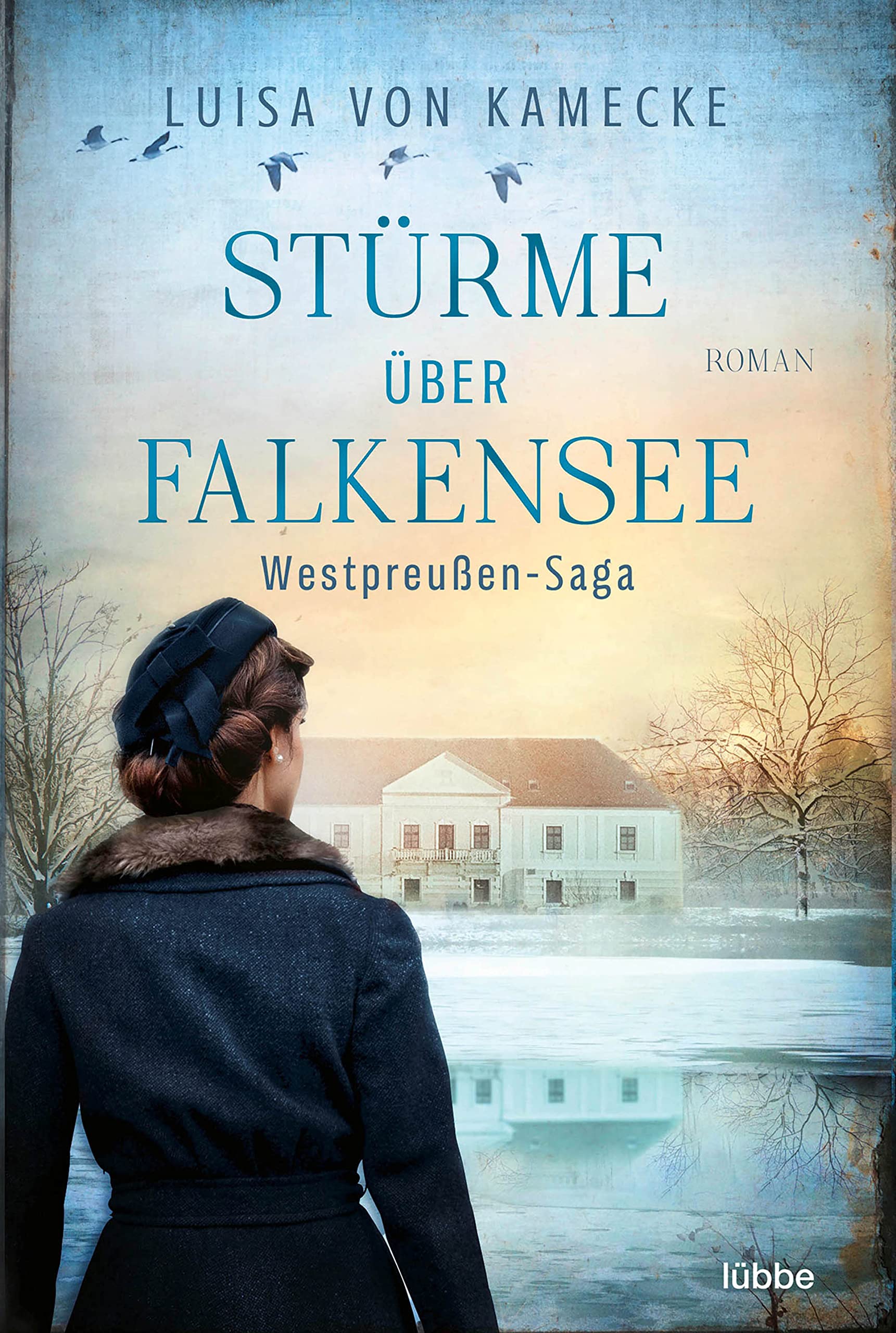 Stürme über Falkensee Historical Fiction