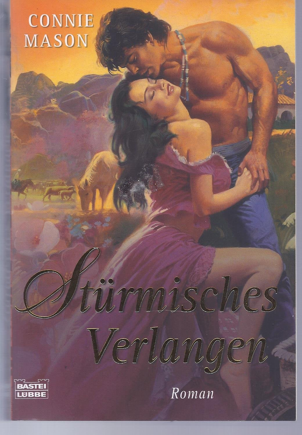 Stürmisches Verlangen: Roman. Deutsche Erstausgabe (Historische Liebesromane. Bastei Lübbe Taschenbücher) Contemporary literature Books