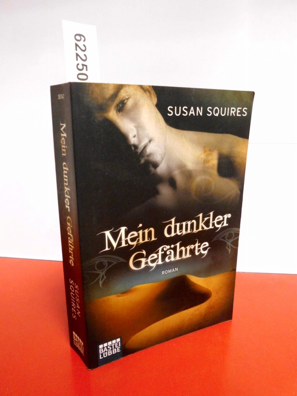 Mein dunkler Gefährte: Roman Contemporary literature