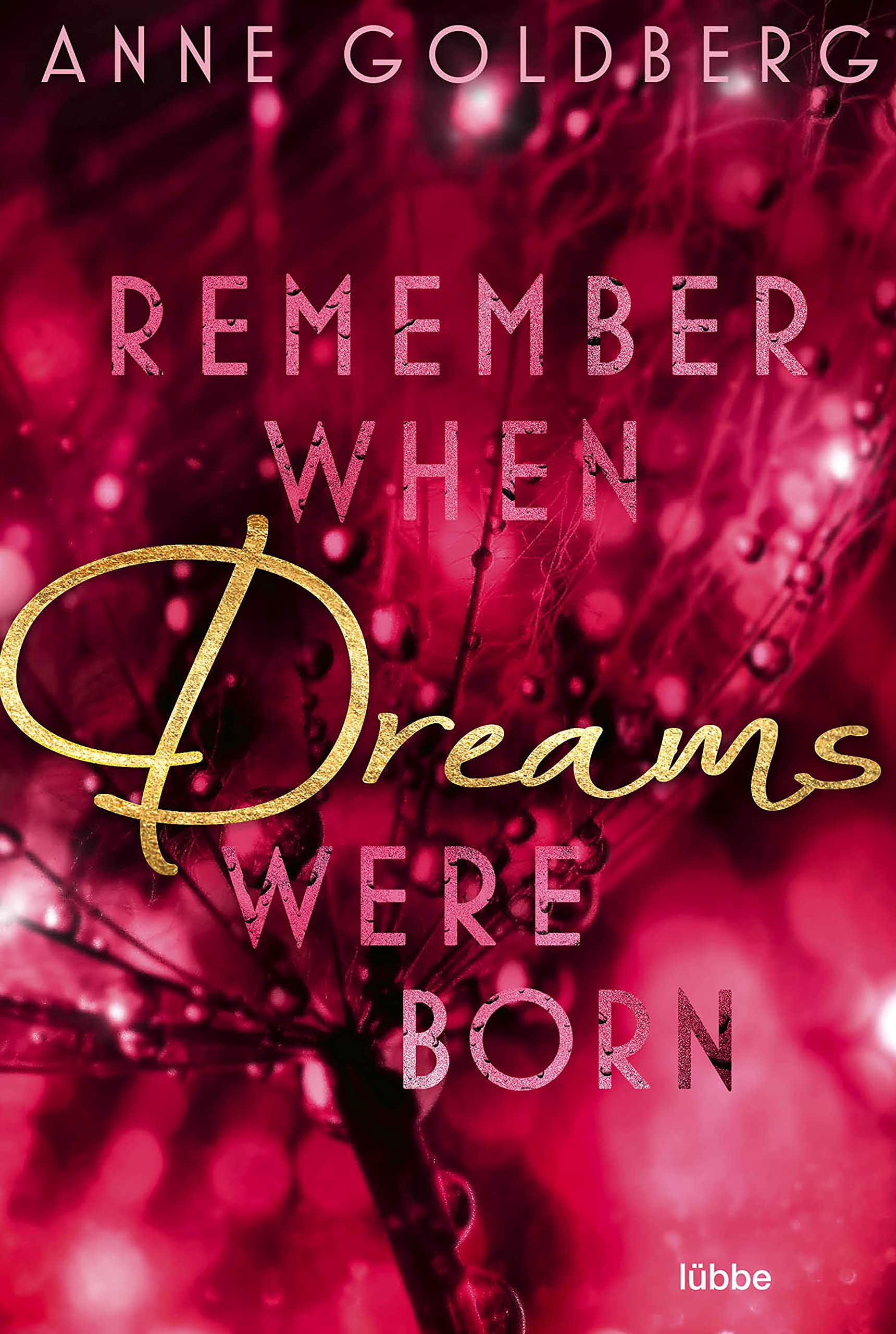 Remember when Dreams were born (Second Chances, Band 1) Contemporary literature
