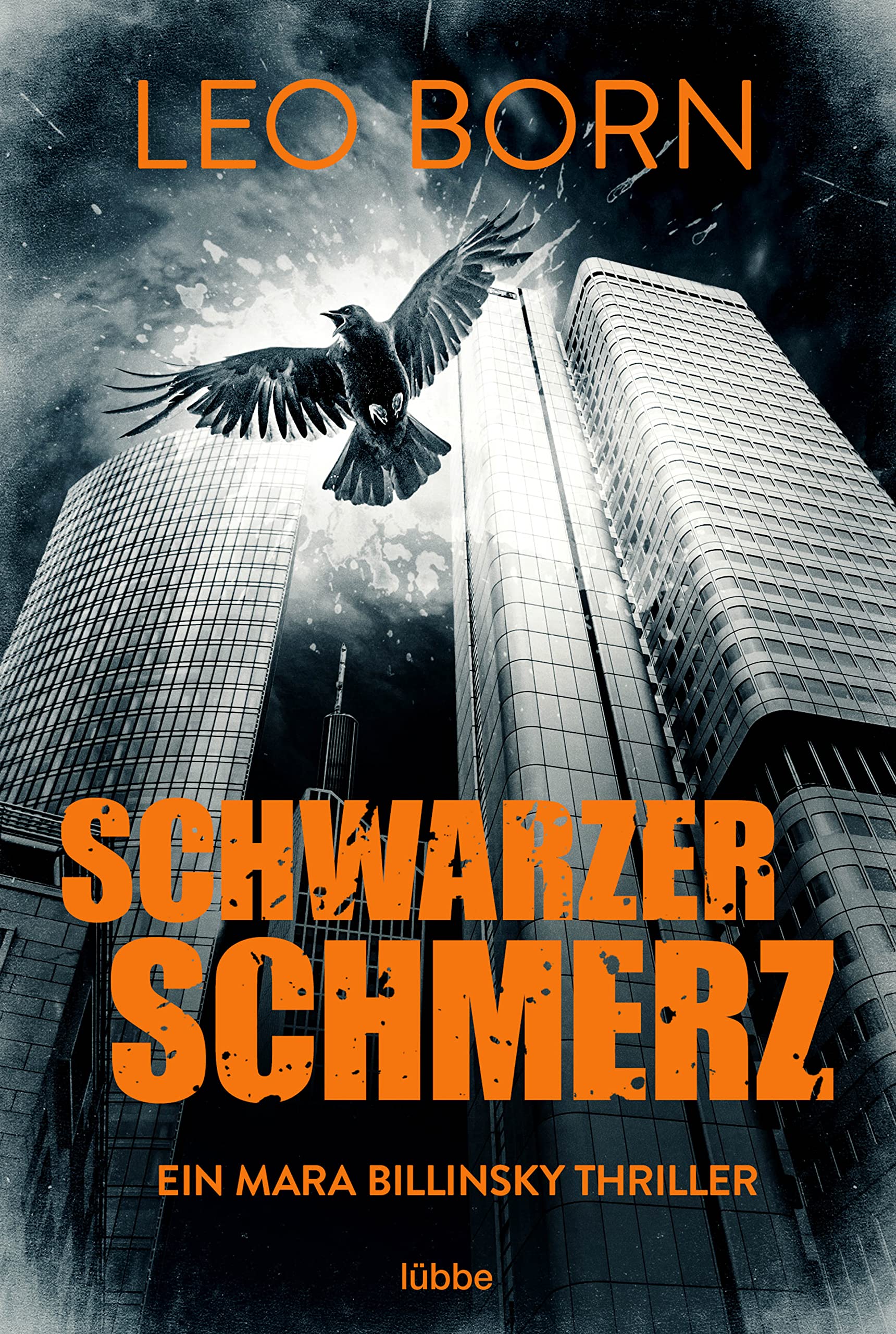 Schwarzer Schmerz Contemporary literature Books