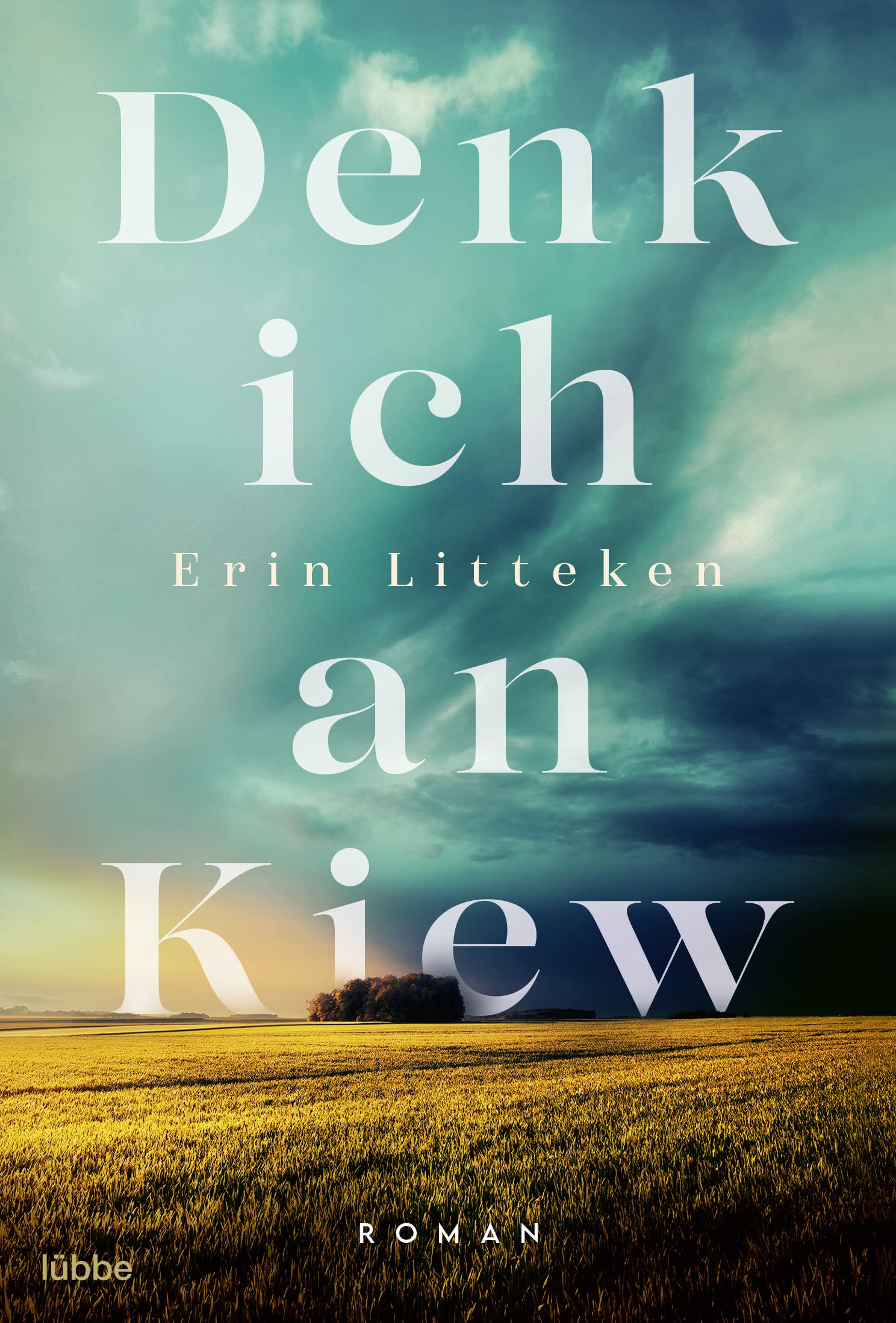 Denk ich an Kiew Contemporary literature Books