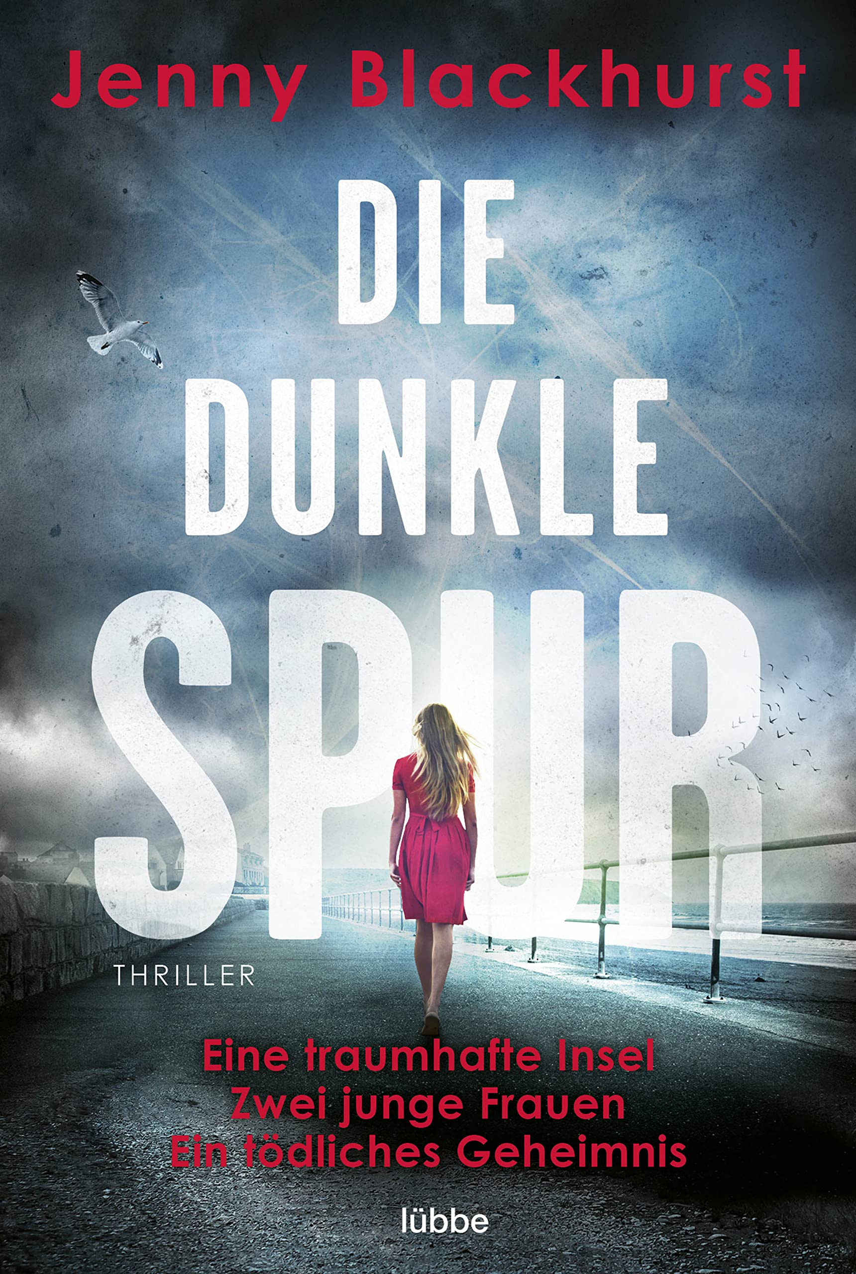 Die dunkle Spur Contemporary literature Books