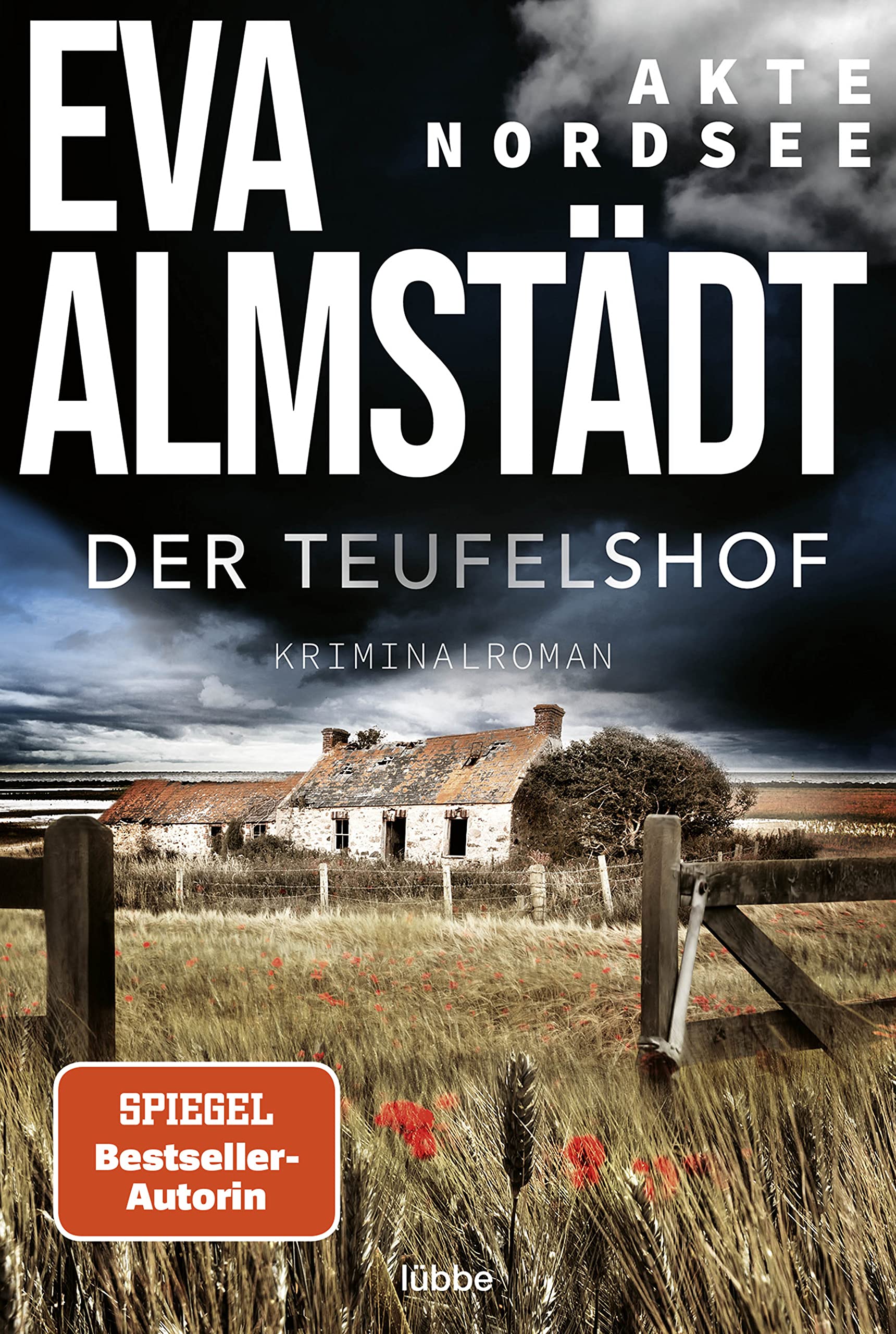 Akte Nordsee - Der Teufelshof Contemporary literature