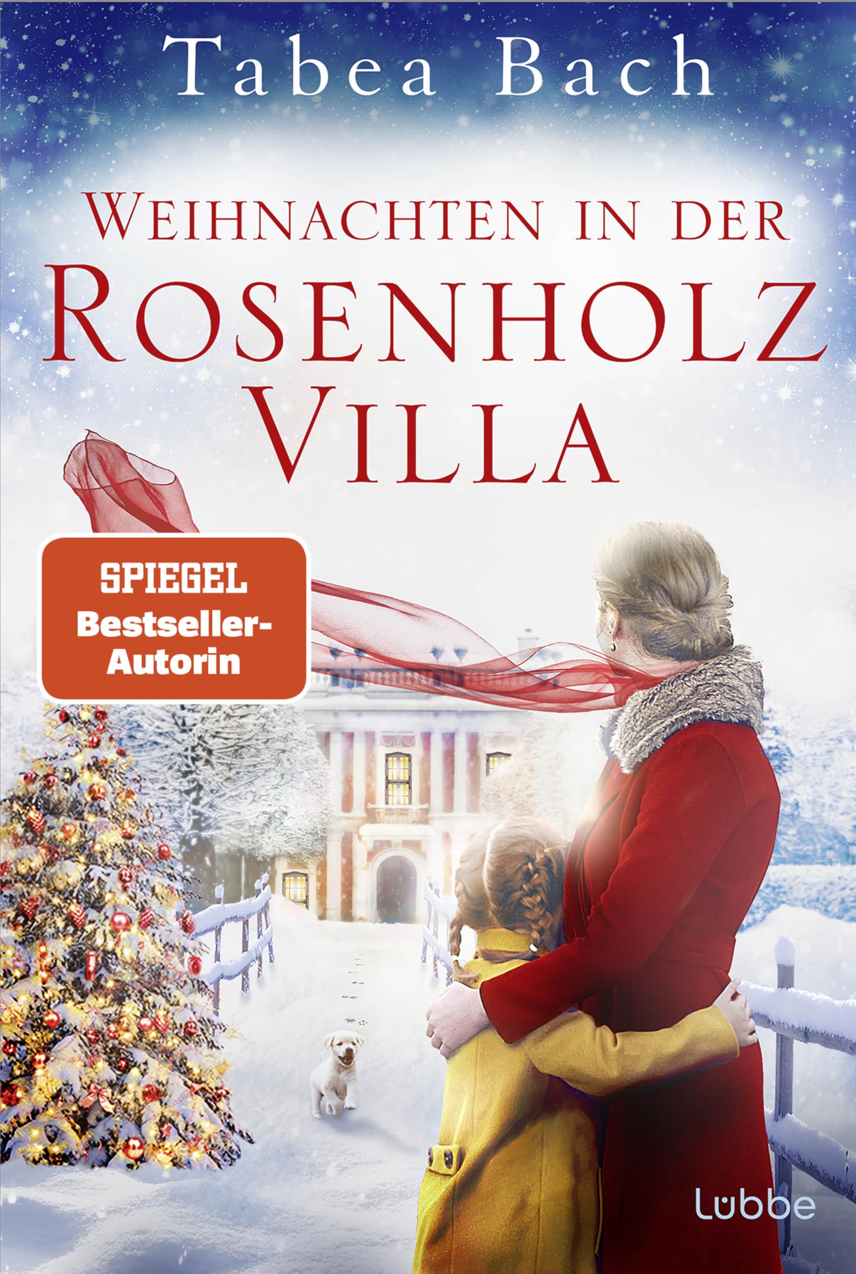 Weihnachten in der Rosenholzvilla Contemporary literature