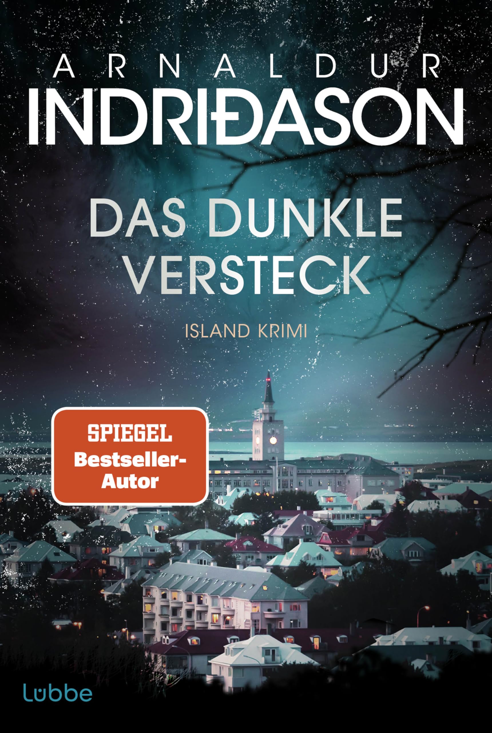 Das dunkle Versteck Contemporary literature Books