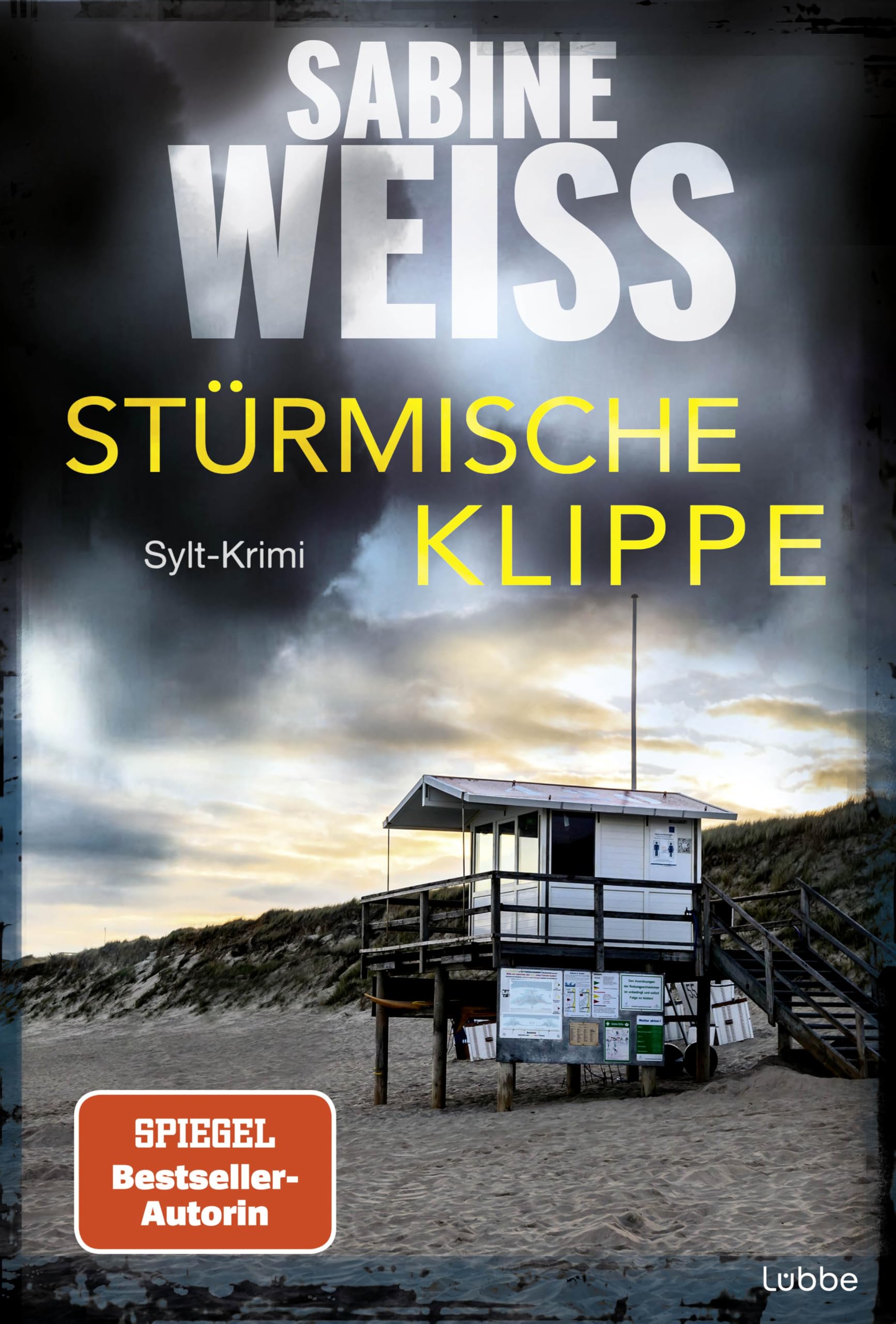 Stürmische Klippe Contemporary literature Books
