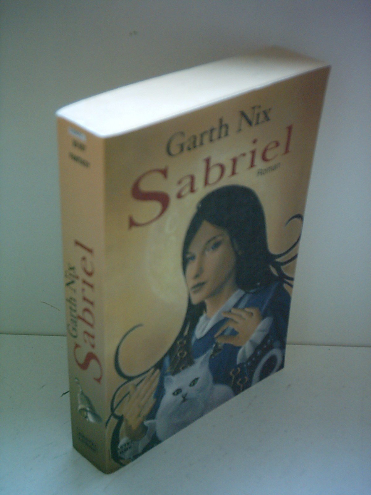 Sabriel: Das Alte Königreich, Bd. 1. Roman Contemporary literature