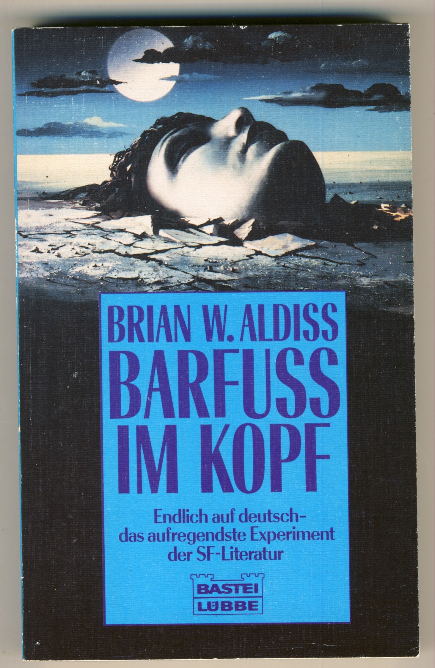 Barfuß im Kopf. Contemporary literature Books