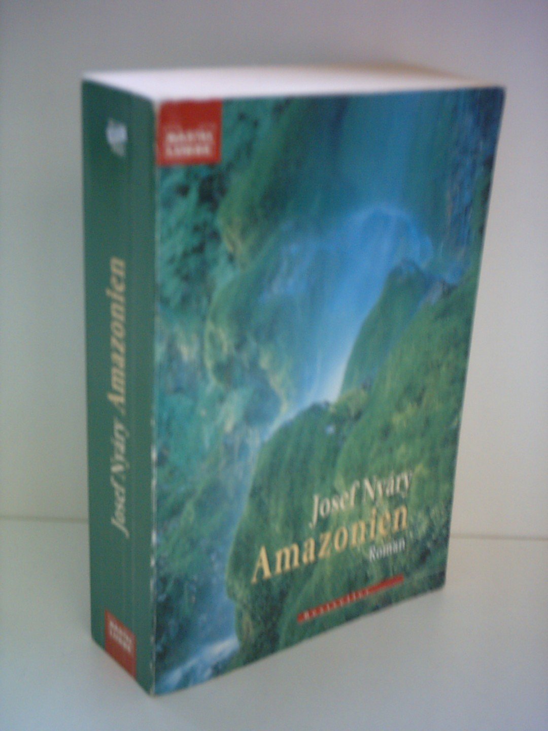 Amazonien (Allgemeine Reihe. Bastei Lübbe Taschenbücher) Books