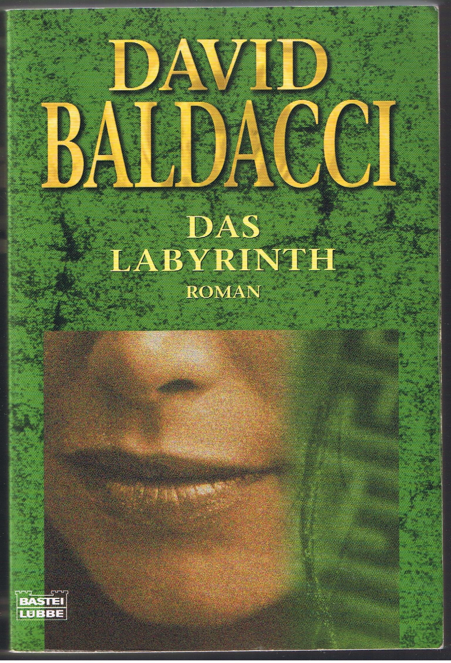 Das Labyrinth: Roman (Allgemeine Reihe. Bastei Lübbe Taschenbücher) Contemporary literature