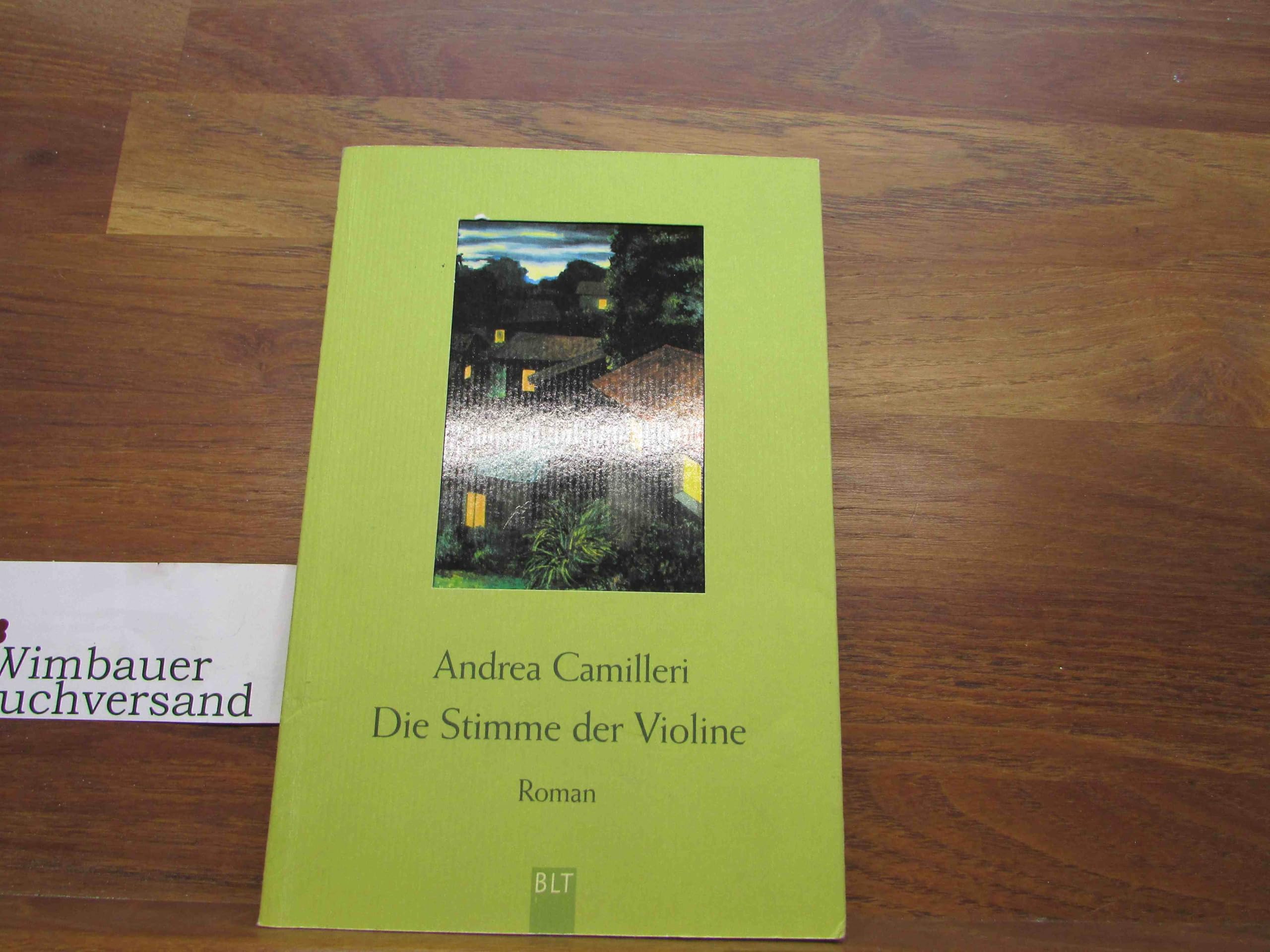 Die Stimme der Violine (BLT. Bastei Lübbe Taschenbücher) Arts & Music