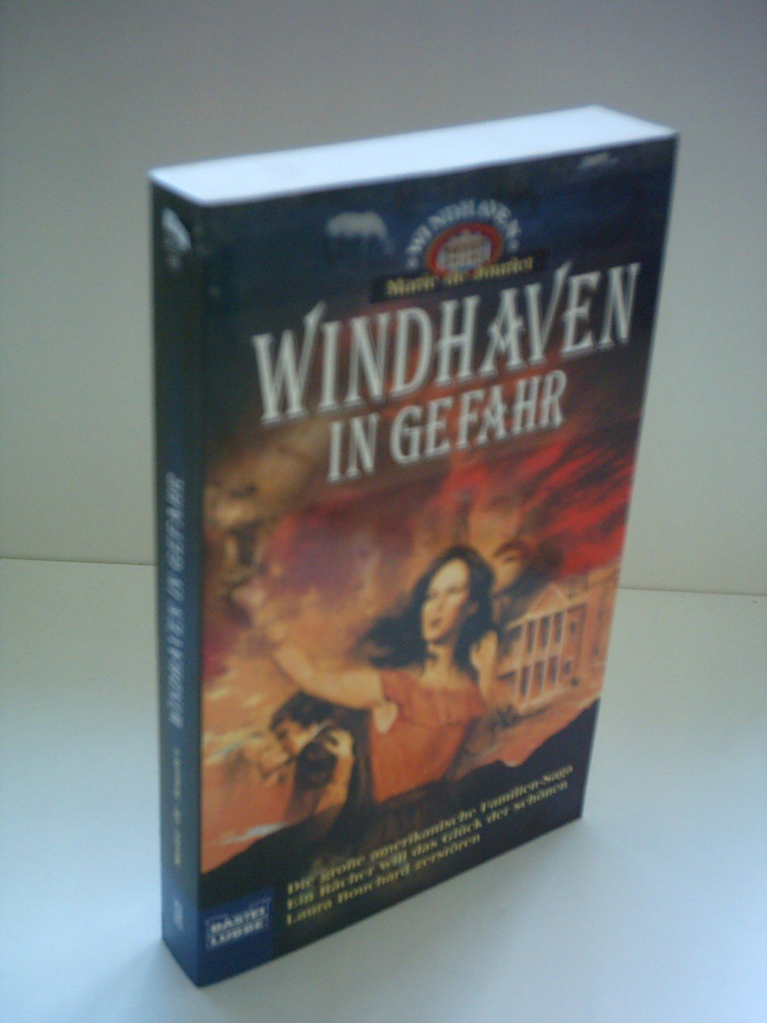 Windhaven in Gefahr (Palette. Bastei Lübbe Taschenbücher) Books