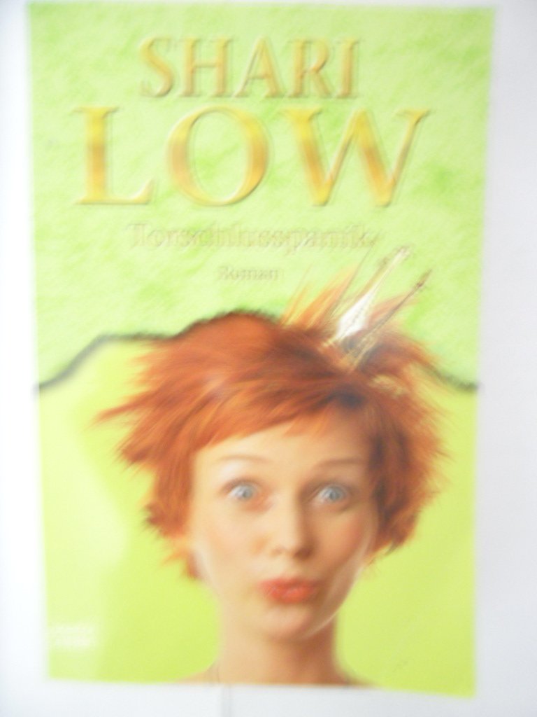 Torschlusspanik (Allgemeine Reihe. Bastei Lübbe Taschenbücher) Contemporary literature