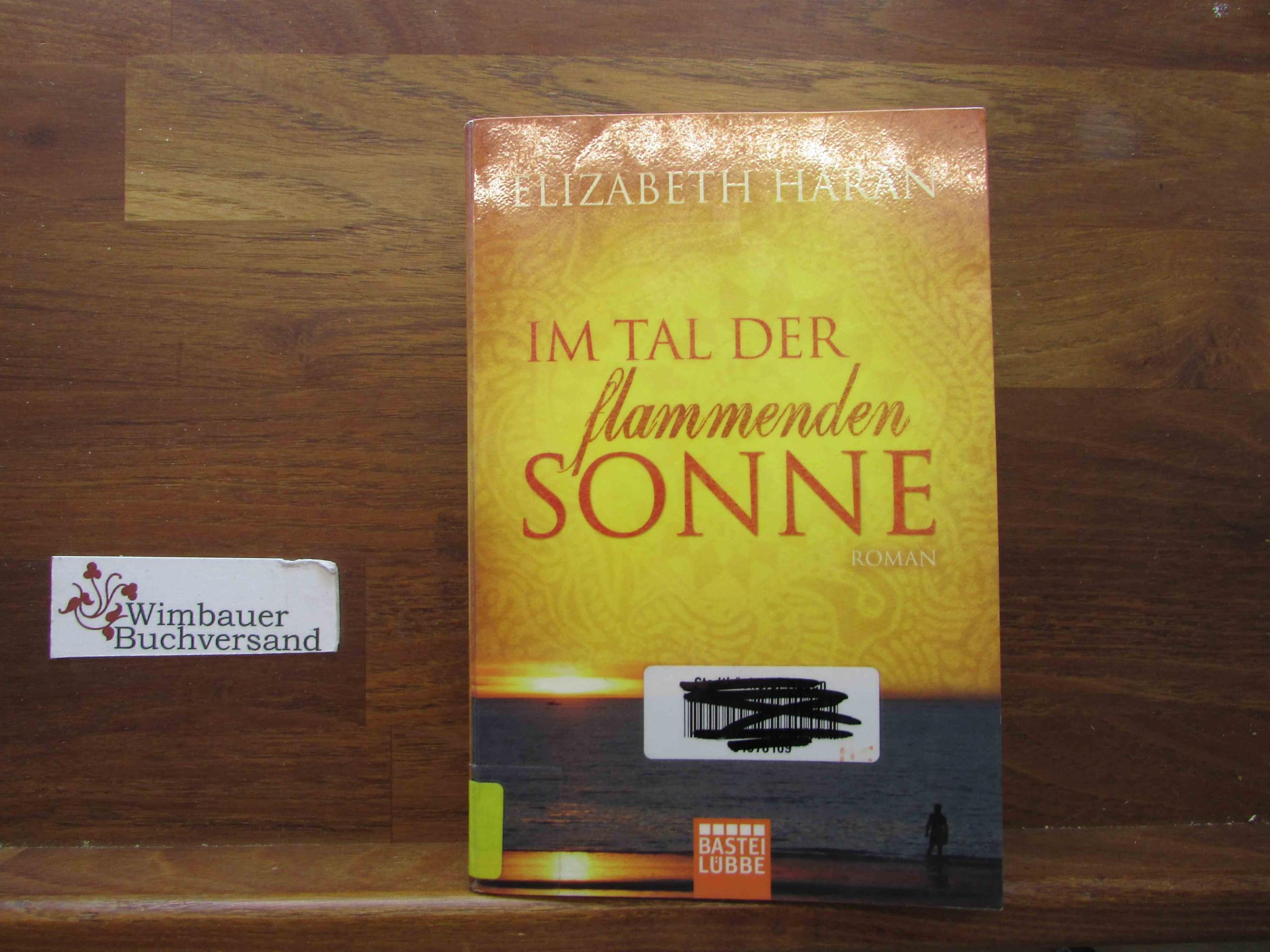 Im Tal der flammenden Sonne: Roman Contemporary literature