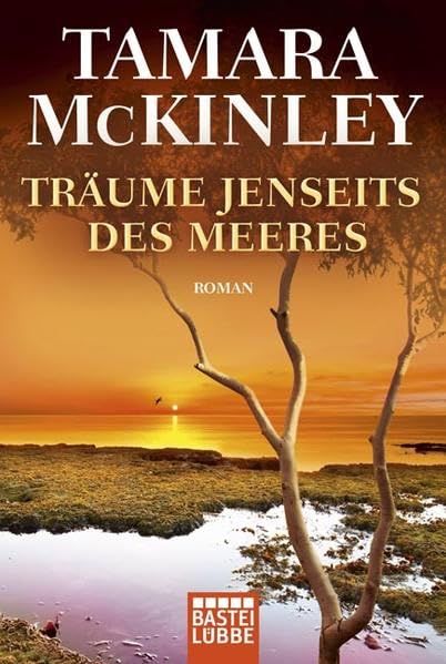 Träume jenseits des Meeres: Roman Contemporary literature
