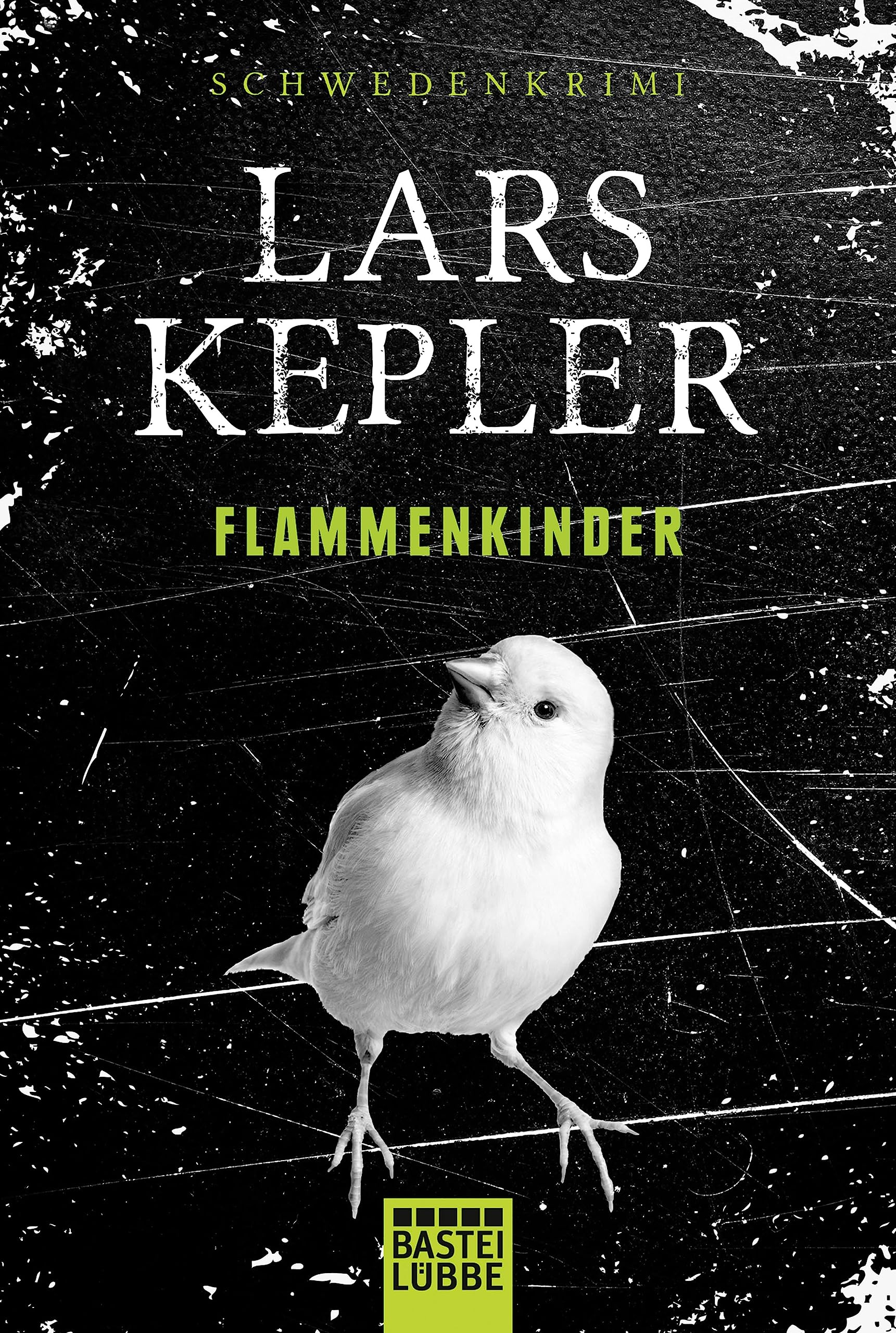 Flammenkinder Contemporary literature Books
