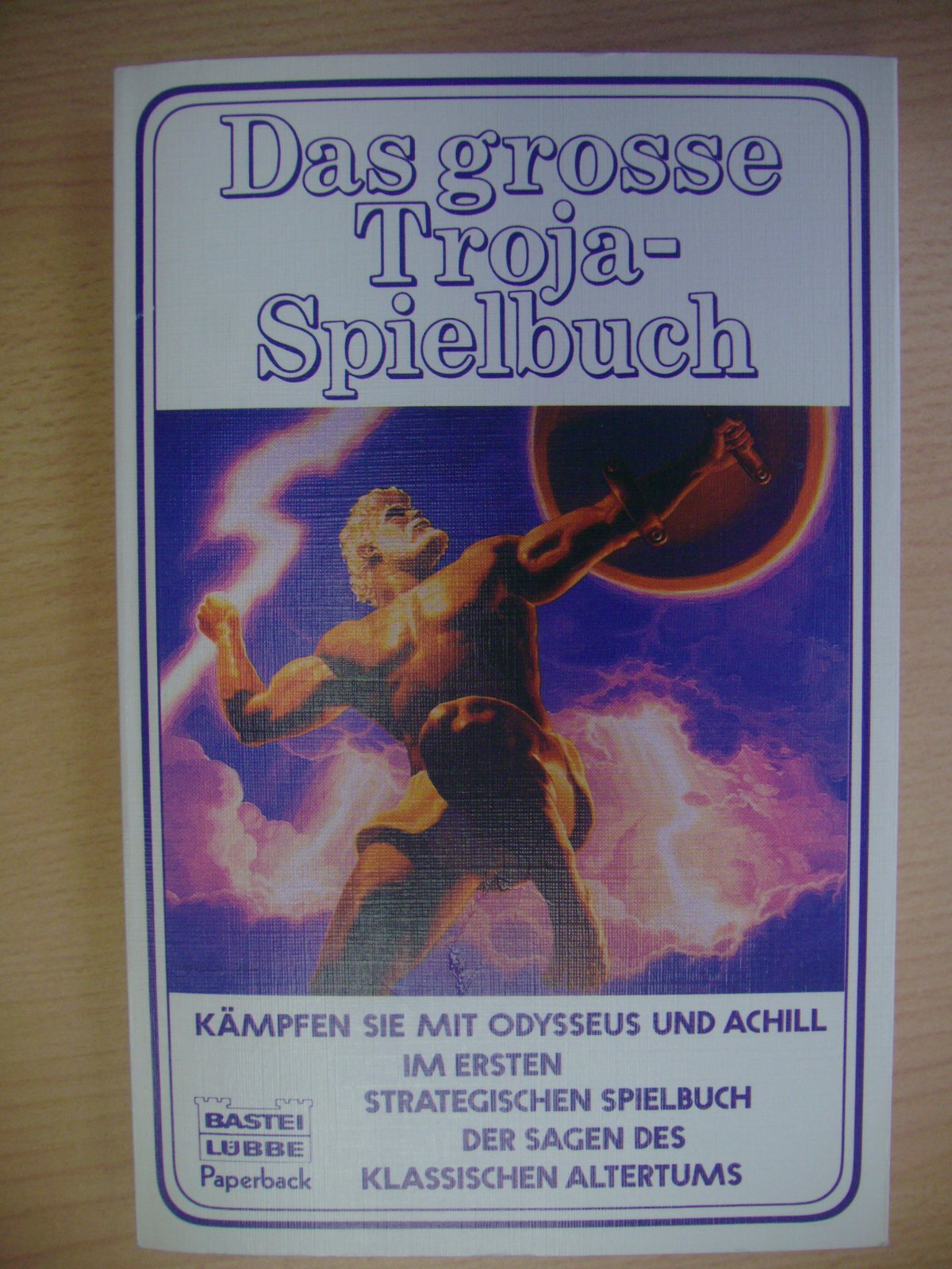 Das grosse Troja-Spielbuch (Paperbacks. Bastei Lübbe Taschenbücher) Leisure & Fun