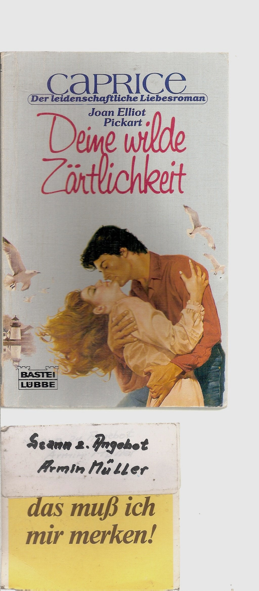 Deine wilde Zärtlichkeit (Bastei Lübbe Taschenbücher. Caprice) Books
