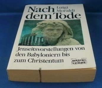 Nach dem Tode: Jenseitsvorstellungen von Babyloniern bis zum Christentum (Sachbuch. Bastei Lübbe Taschenbücher) Philosophy