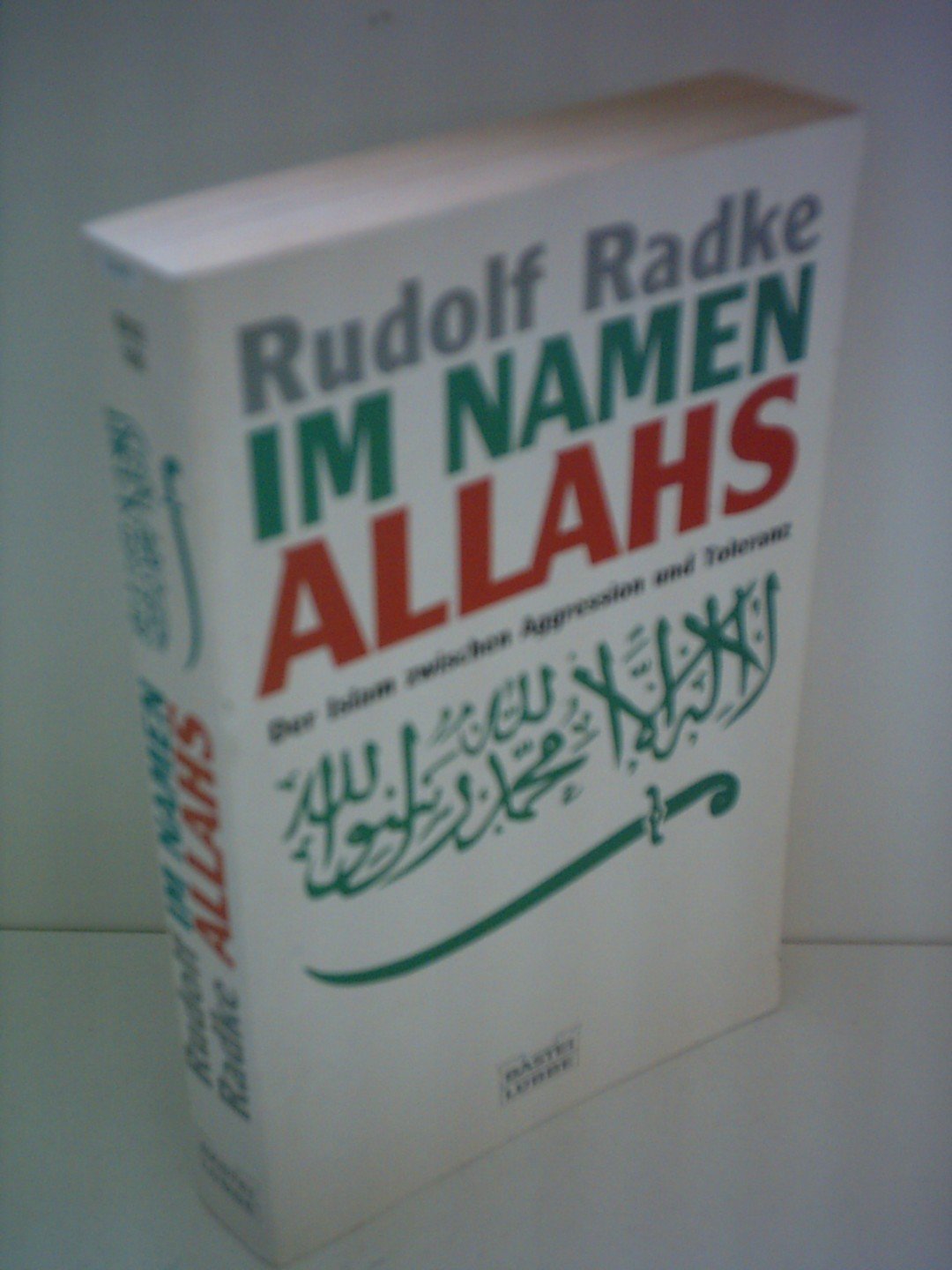 Im Namen Allahs (Sachbuch. Bastei Lübbe Taschenbücher) Politics & Society