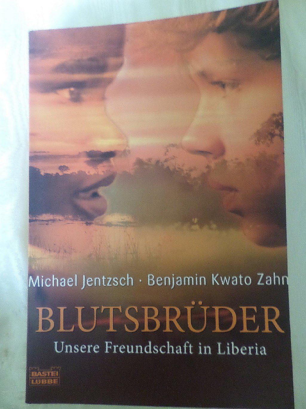 Blutsbrüder: Unsere Freundschaft in Liberia Contemporary literature